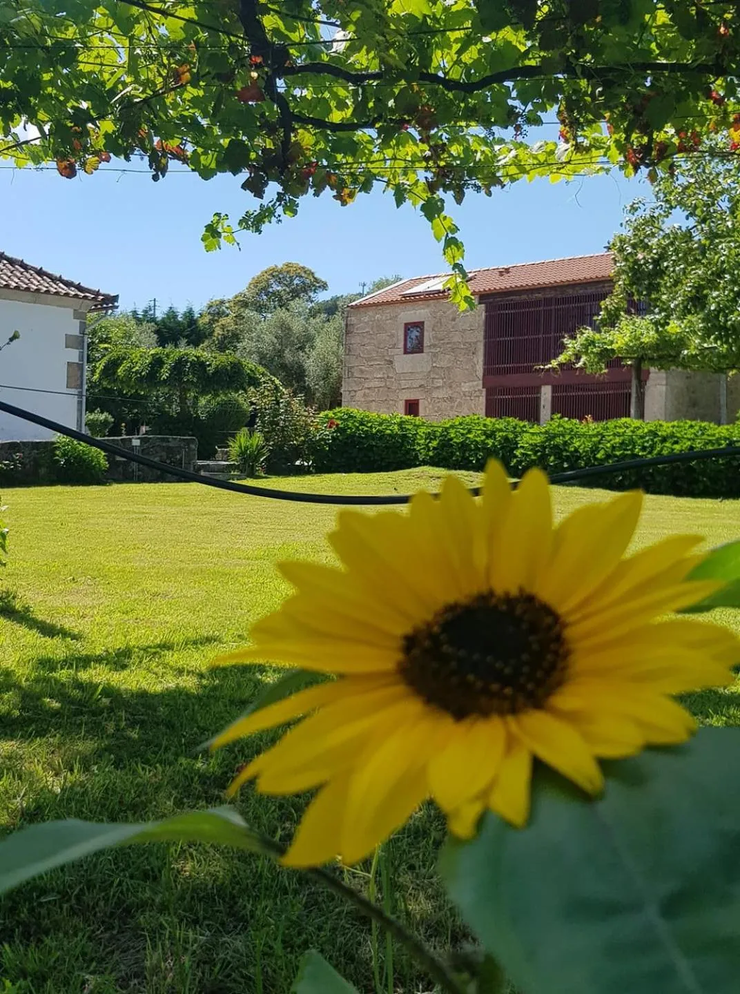 Garden in Casas da Quinta da Cancela