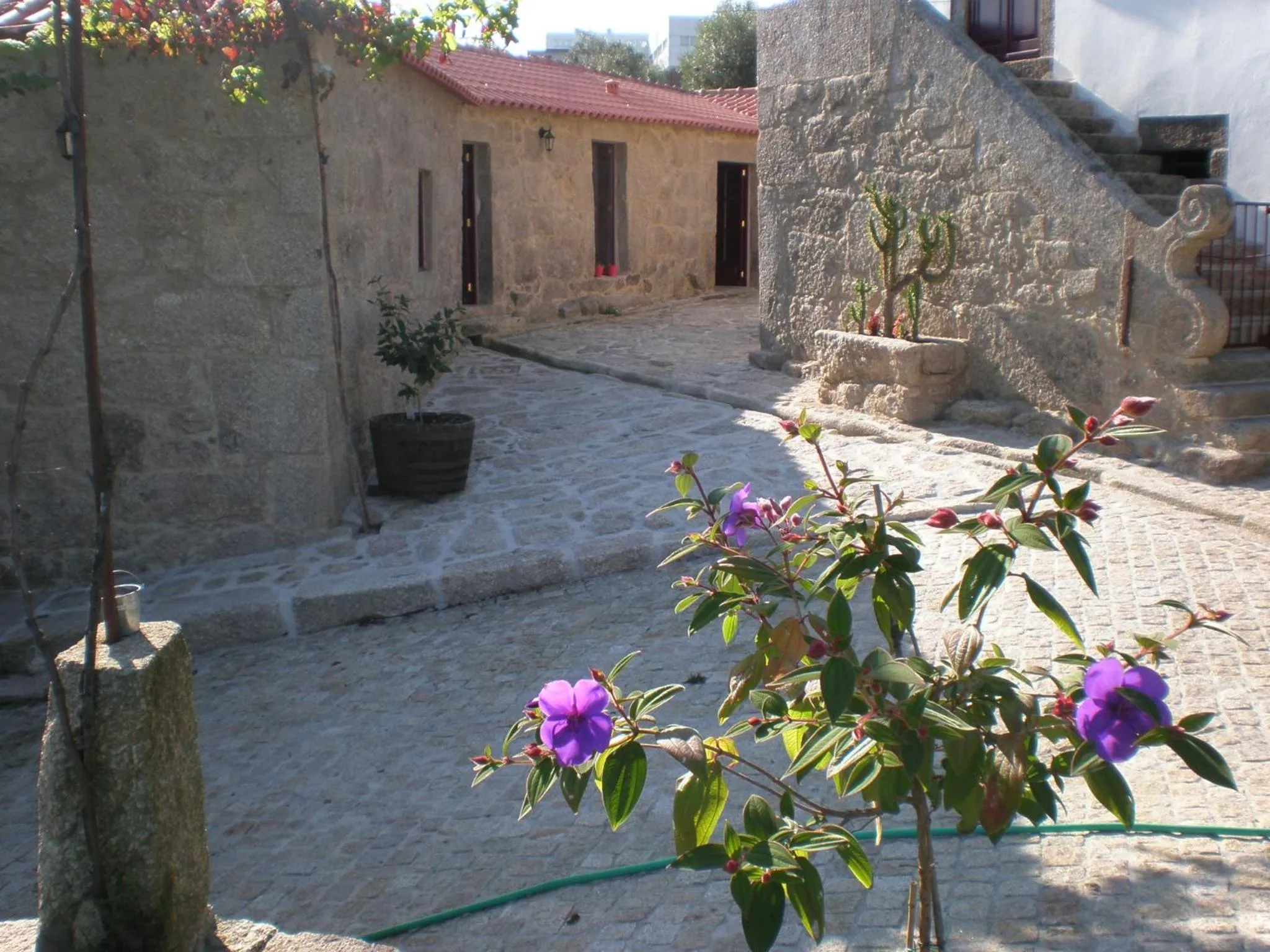 Casas da Quinta da Cancela
