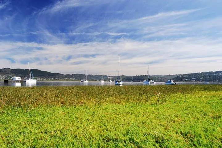 Villa Afrikana Guest Suites by Knysna Paradise Collection