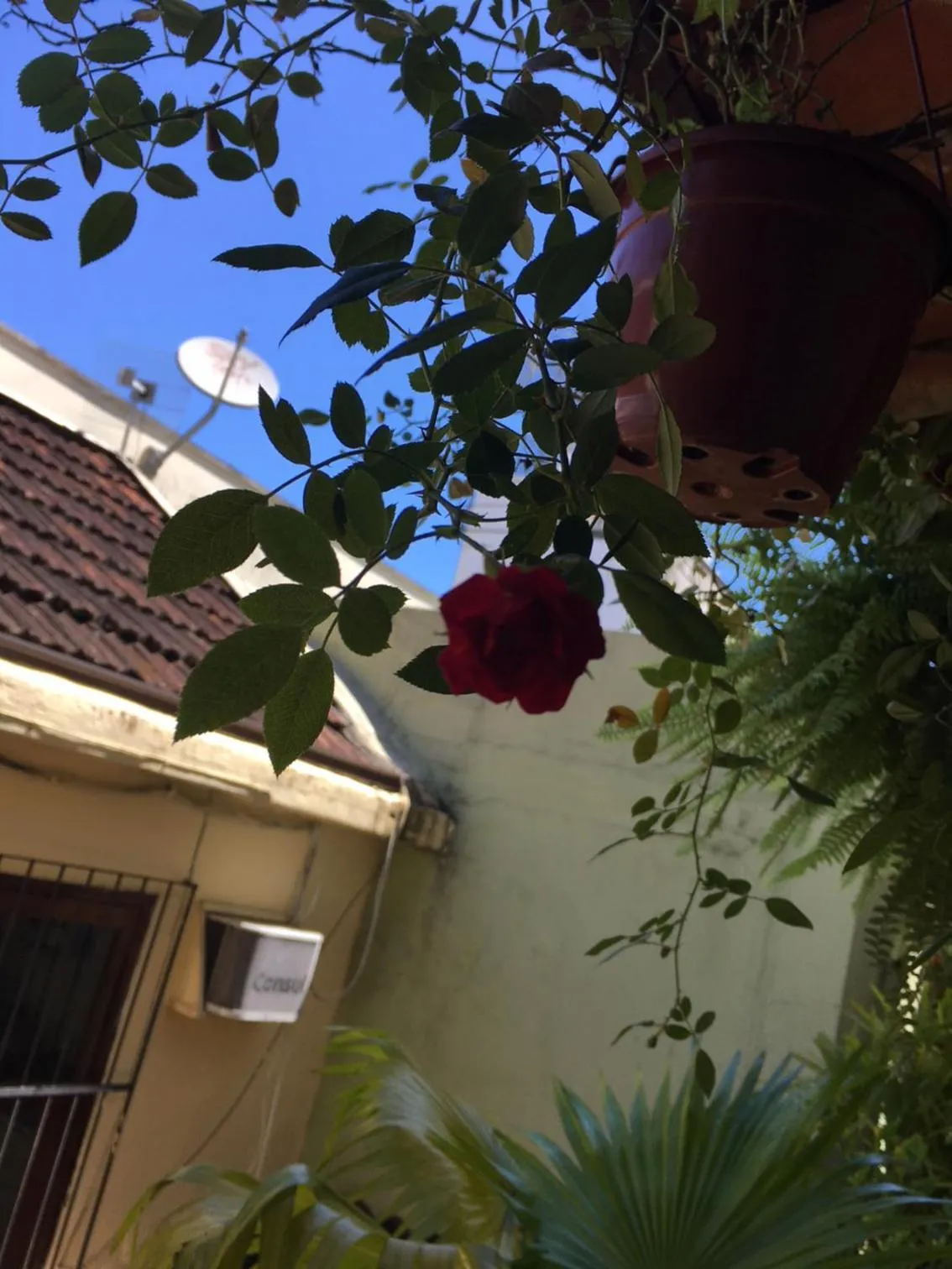 Decorative detail in Palace Hotel