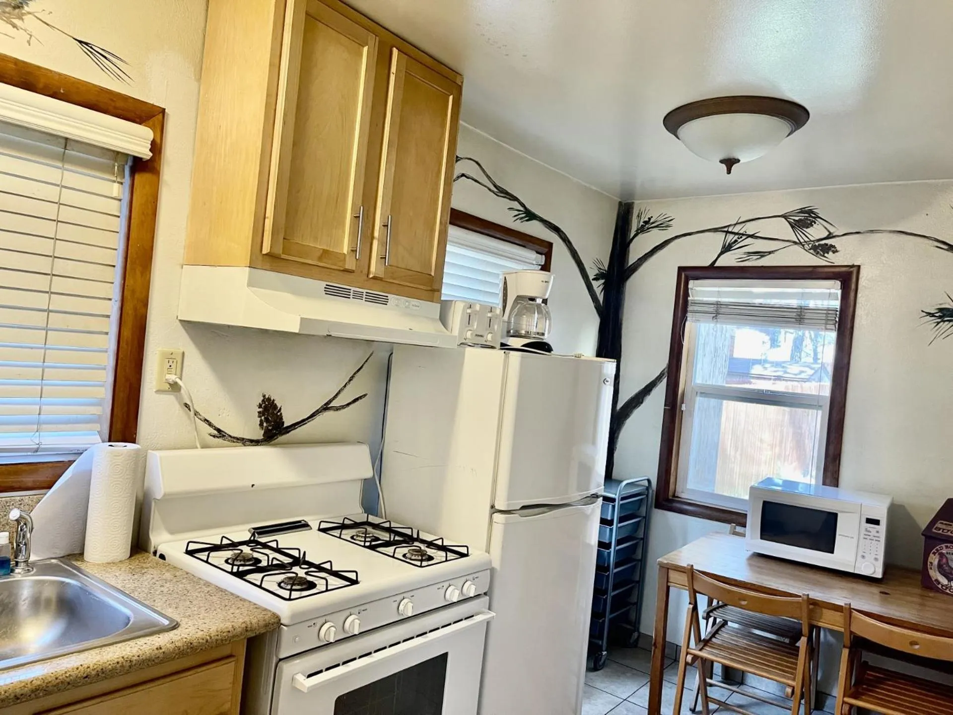 Kitchen or kitchenette in Bear Creek Resort