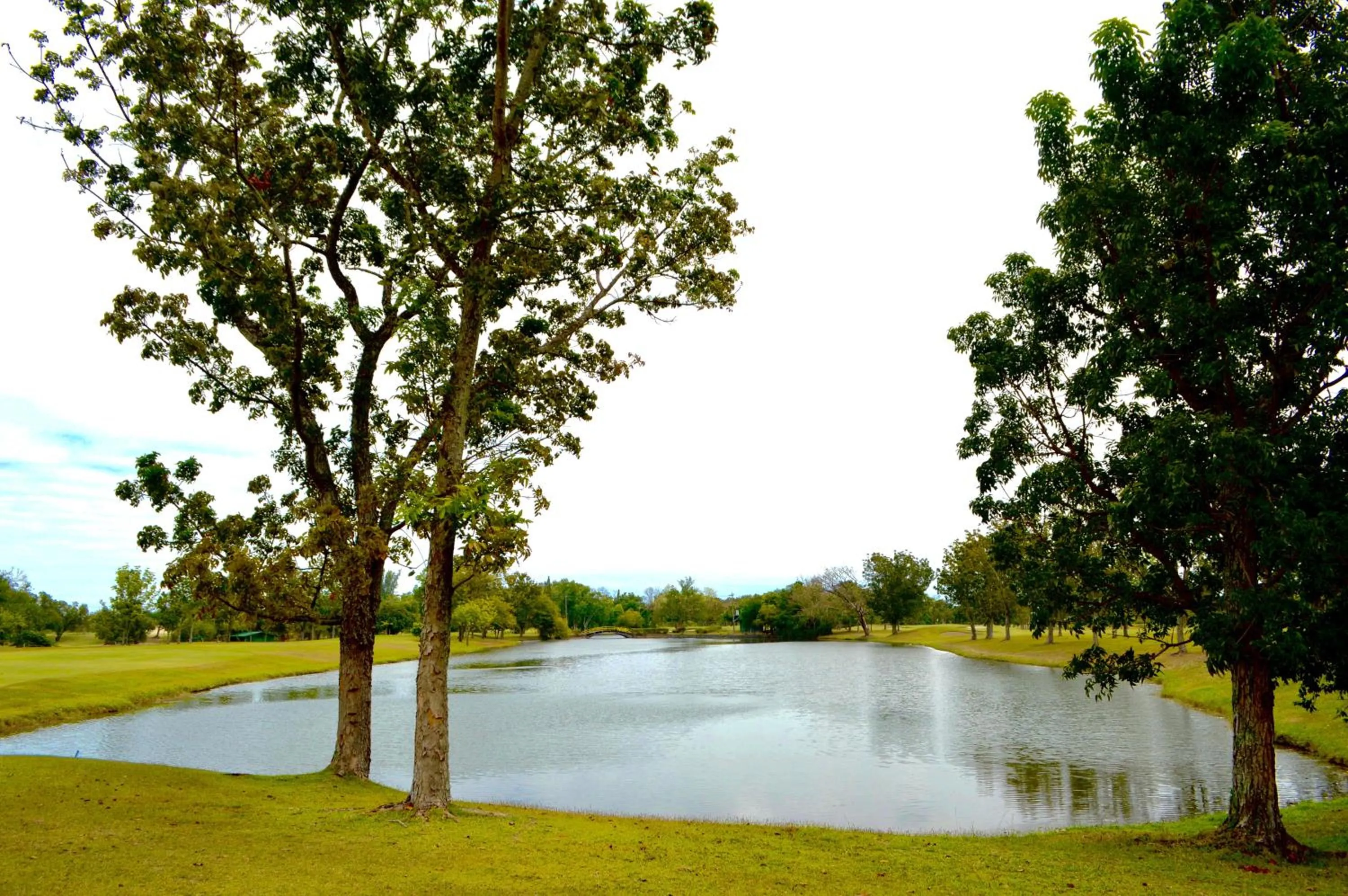 Golfcourse in Luisita Central Park Hotel