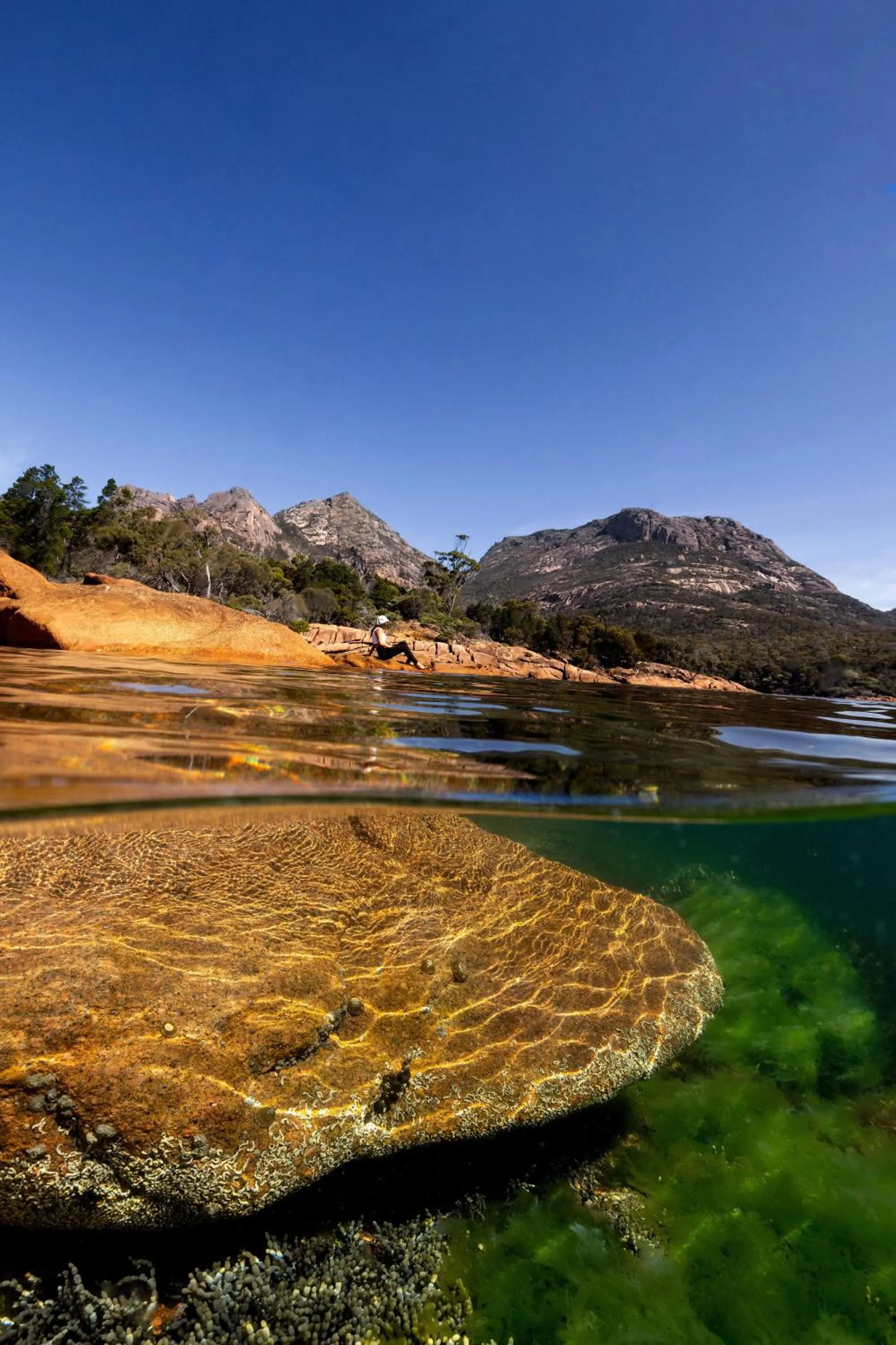 Natural landscape in BIG4 Iluka on Freycinet