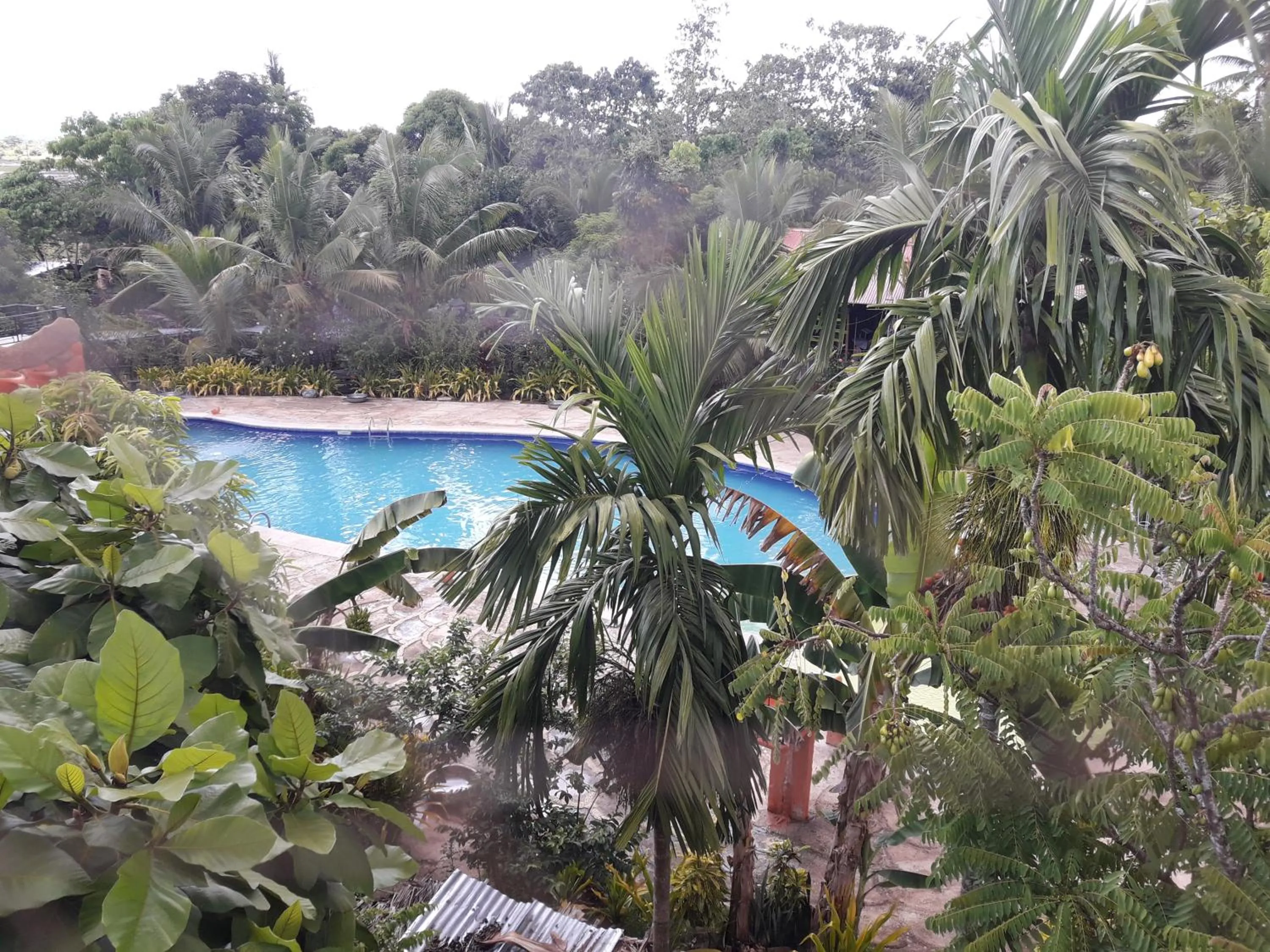 Swimming pool in Relaxing Garden Resort