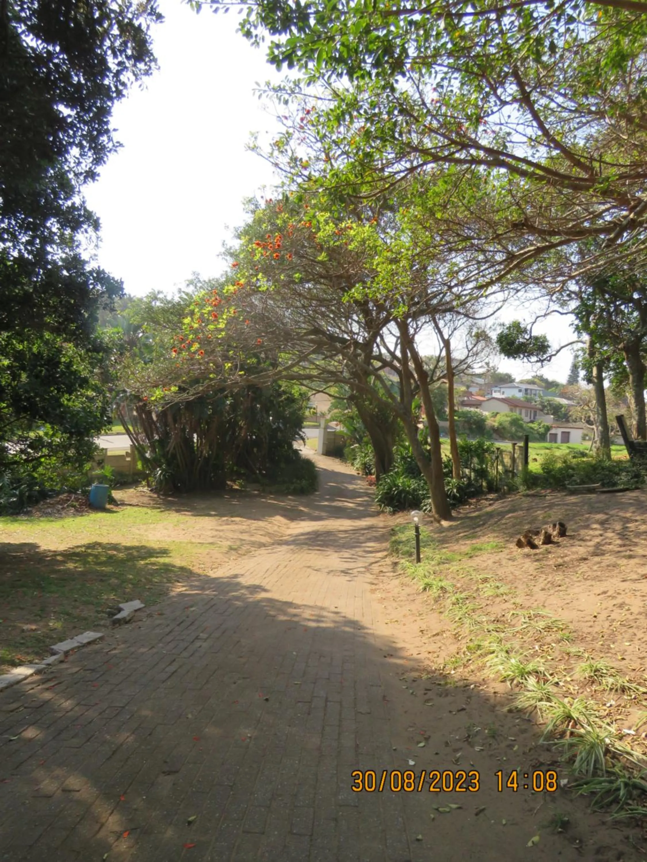Garden in Beachcomber Bay Guest House In South Africa