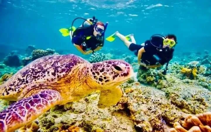 Beach in Village Star Rest-Mirissa