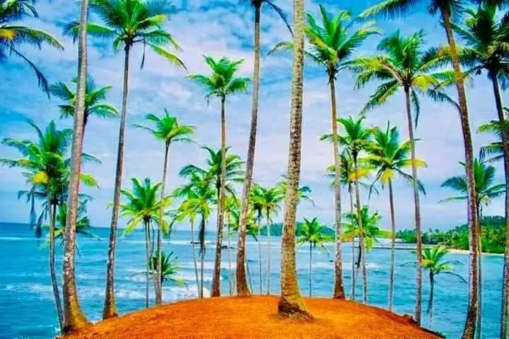 Beach in Village Star Rest-Mirissa