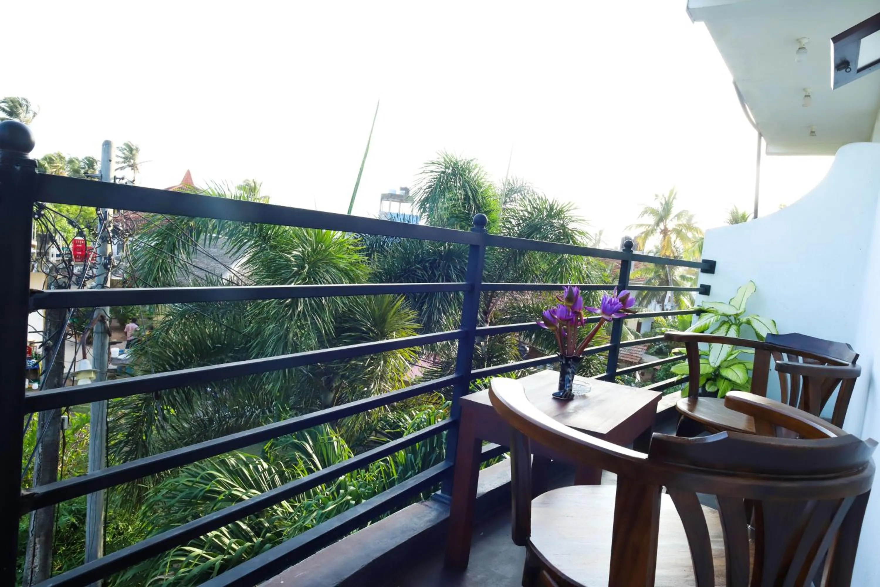 Balcony/Terrace in Village Star Rest-Mirissa