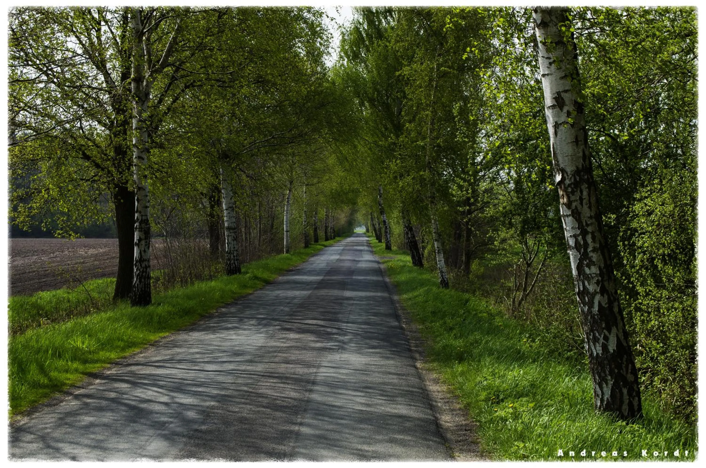 Natural landscape in Hotel Gasthof Zur Post