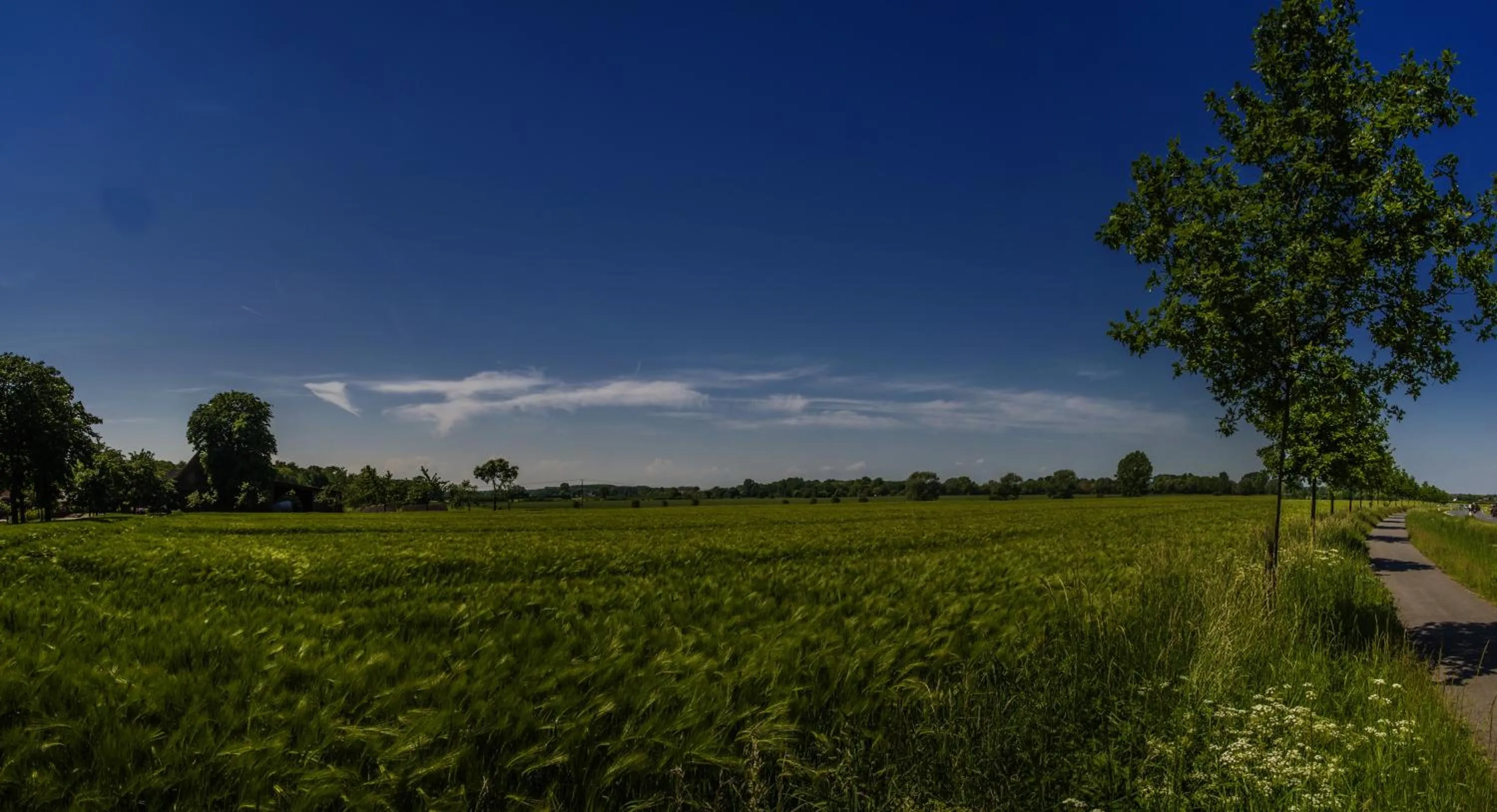Neighbourhood in Hotel Gasthof Zur Post