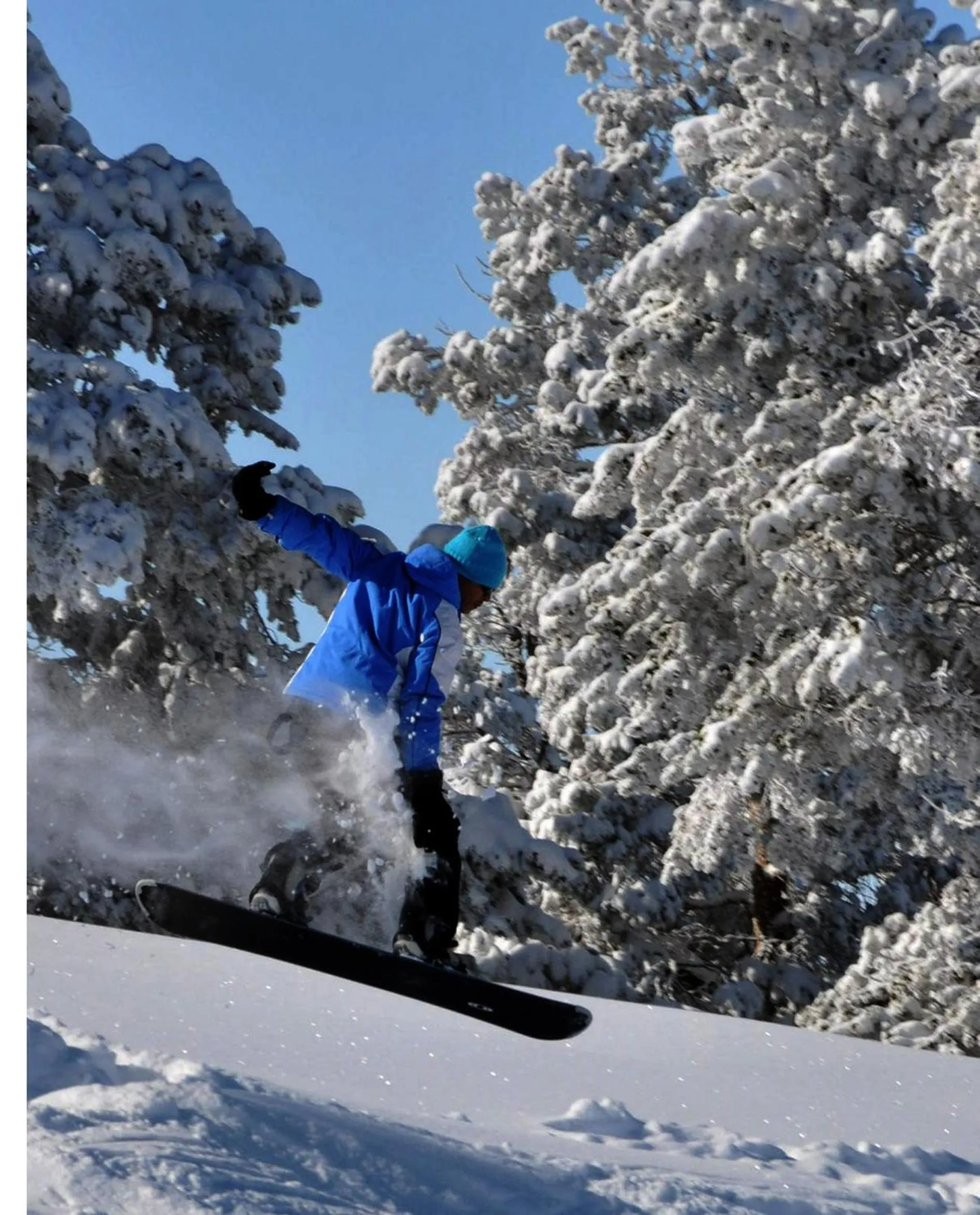 Ski School in Sarikamis Habitat Hotel