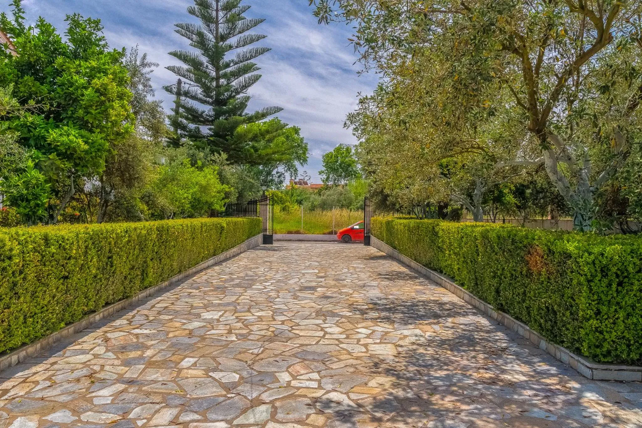 Garden in Chandris Apartments