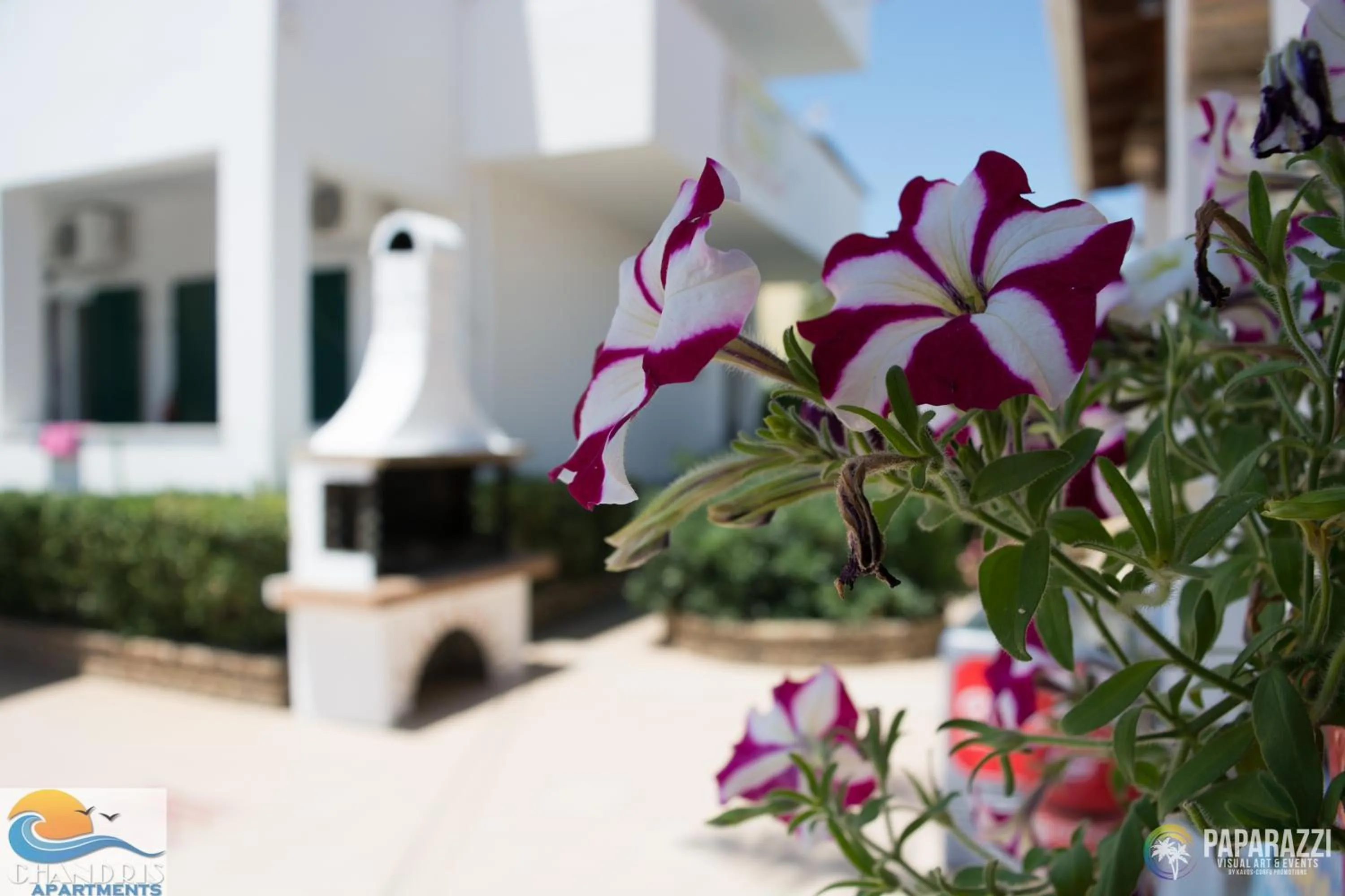 Decorative detail in Chandris Apartments