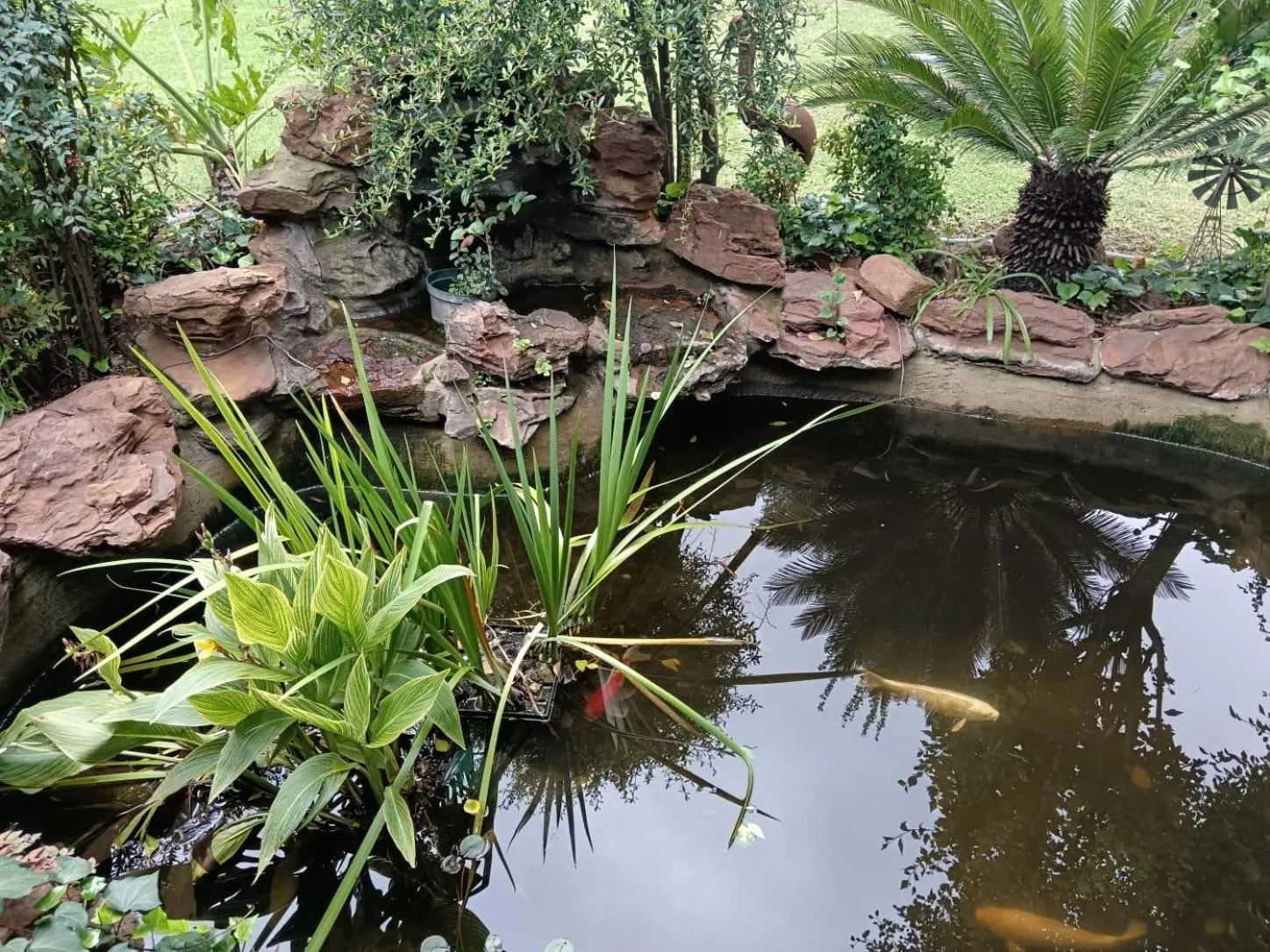 Garden in Airport Bird & Game Lodge