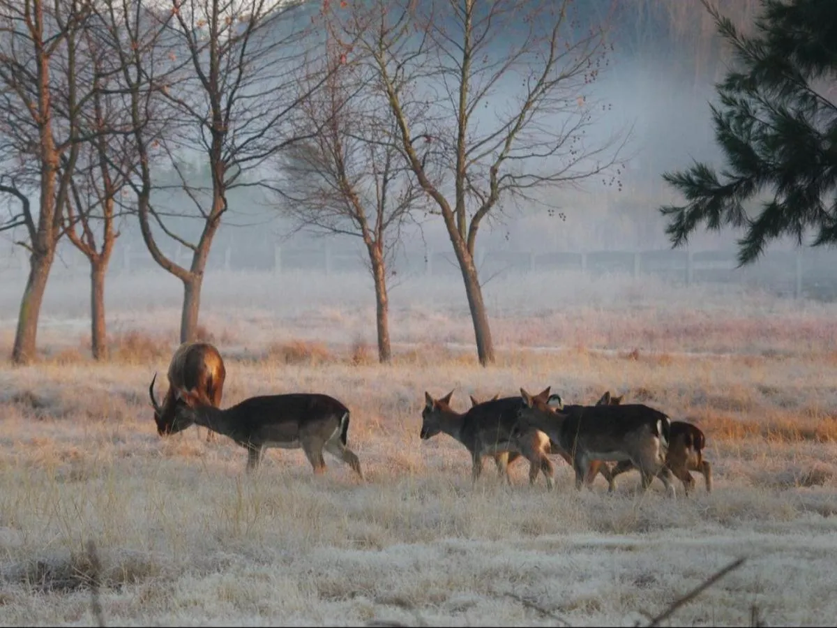 Natural landscape in Airport Bird & Game Lodge