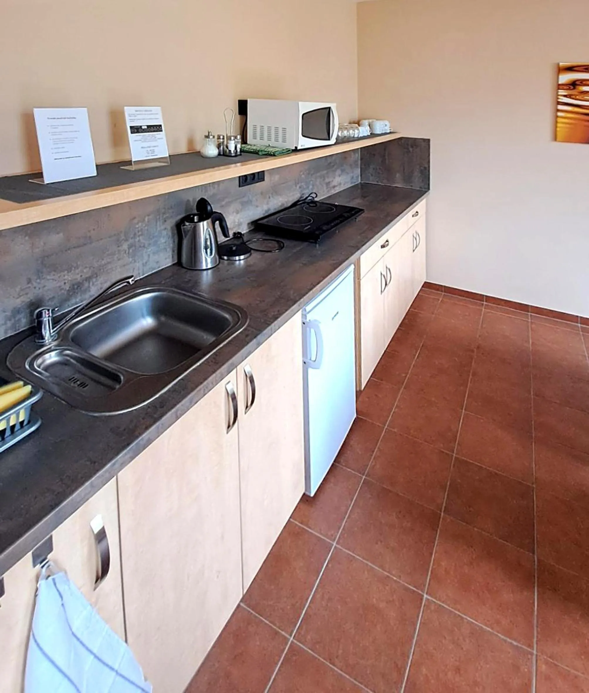 Kitchen or kitchenette in Hotel Toč