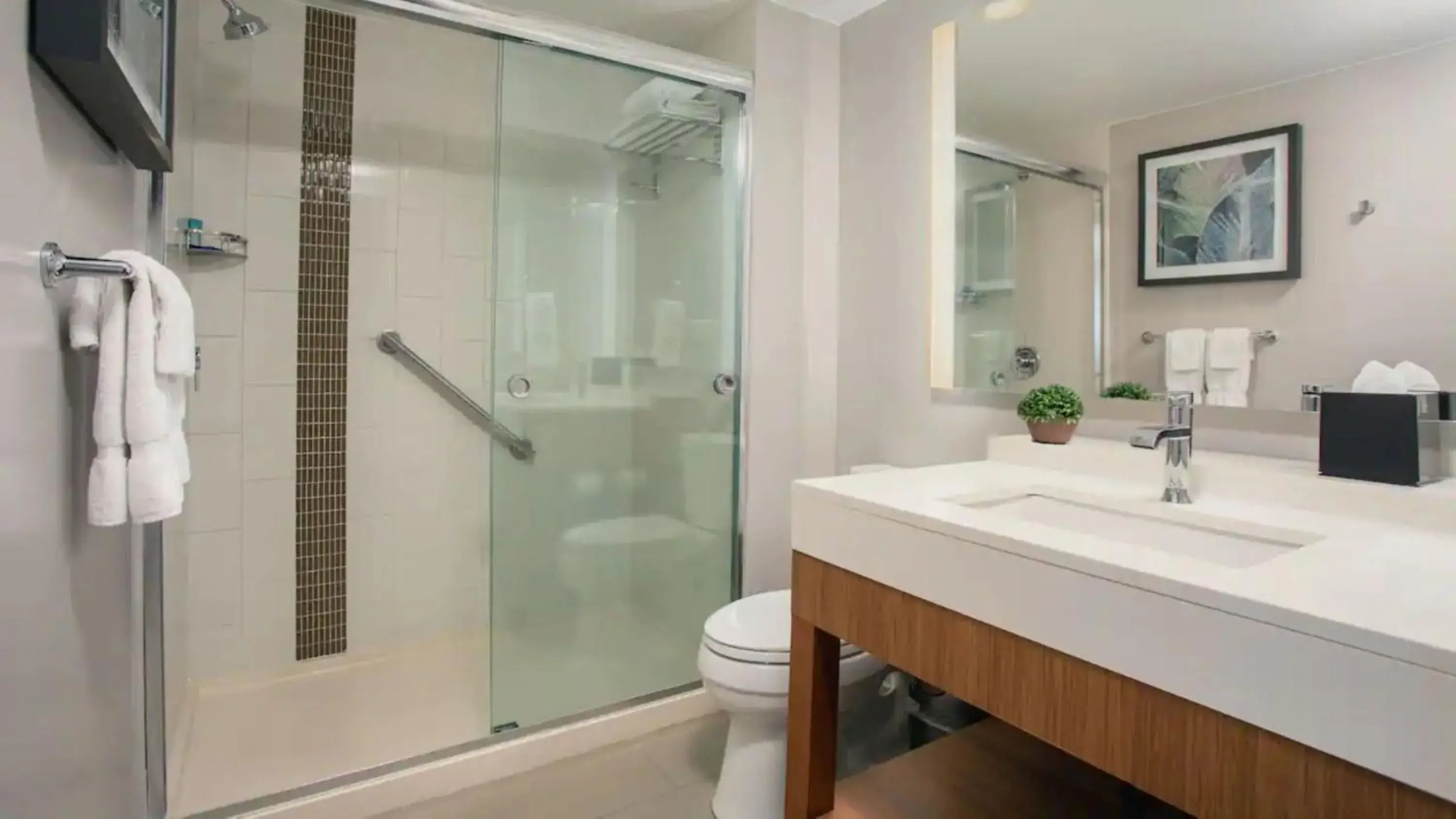 Queen Room with Sofa Bed and Pool View in Hyatt Place San Juan Queen Room with Sofa Bed and Pool View in Hyatt Place San Juan