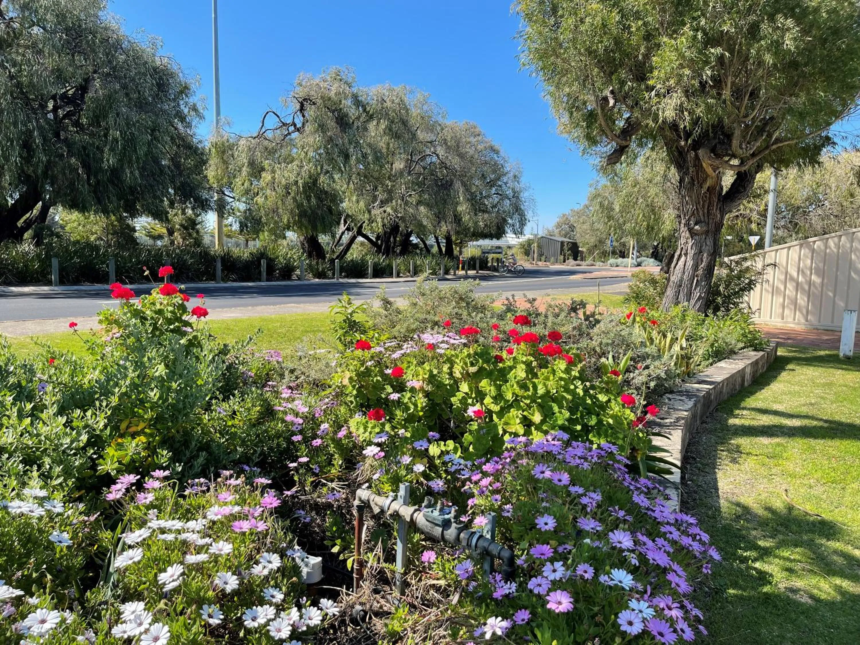 Natural landscape in Busselton Jetty Chalets