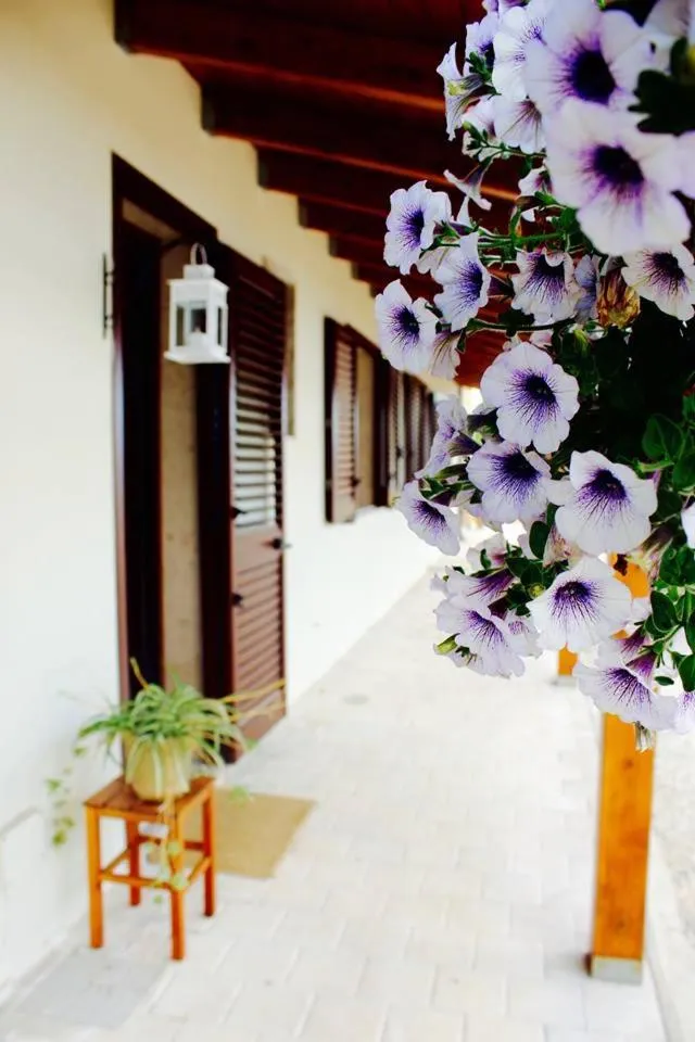 Gli Allori - Fuga dalla città