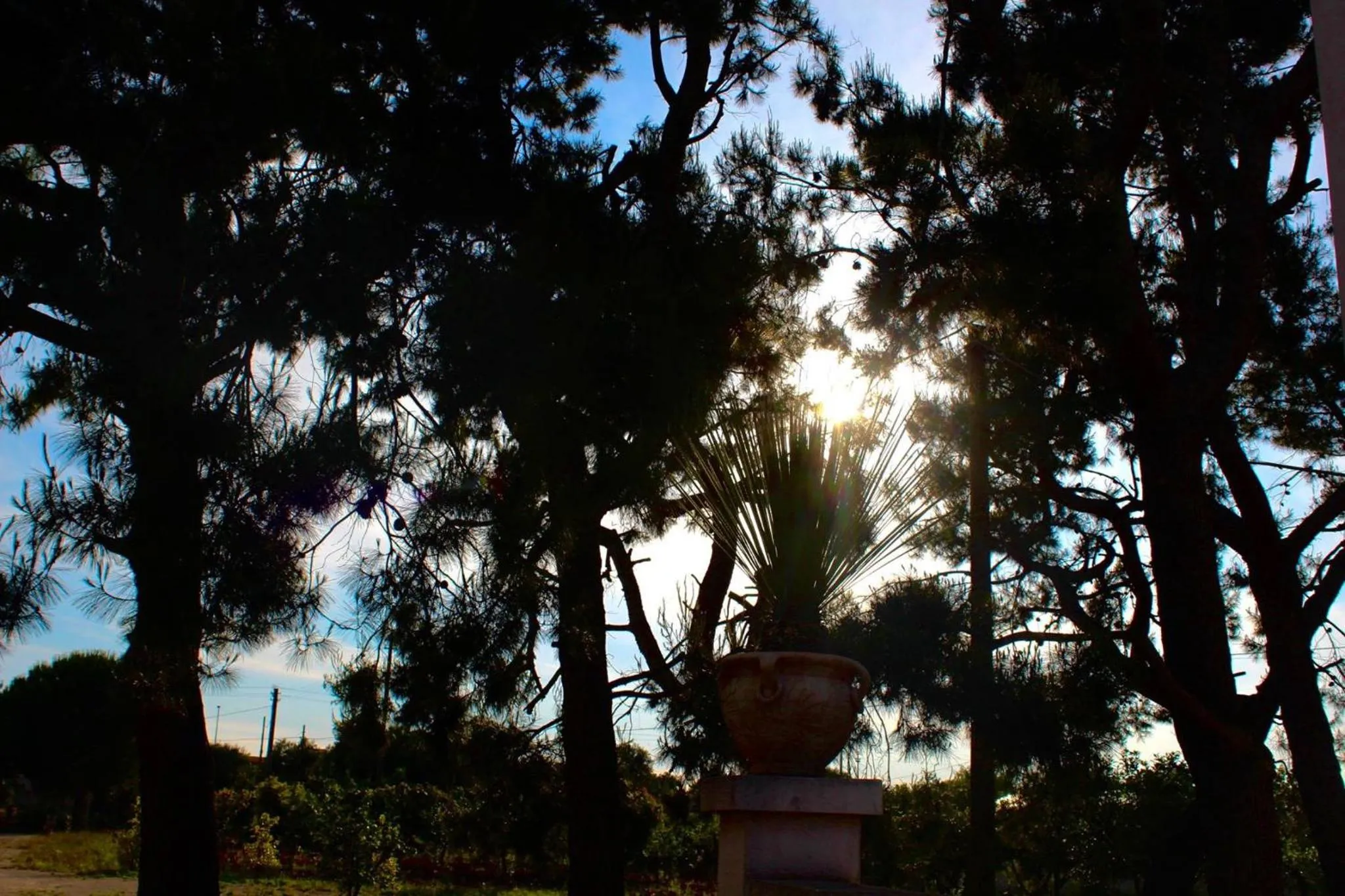 Garden in Gli Allori - Fuga dalla città