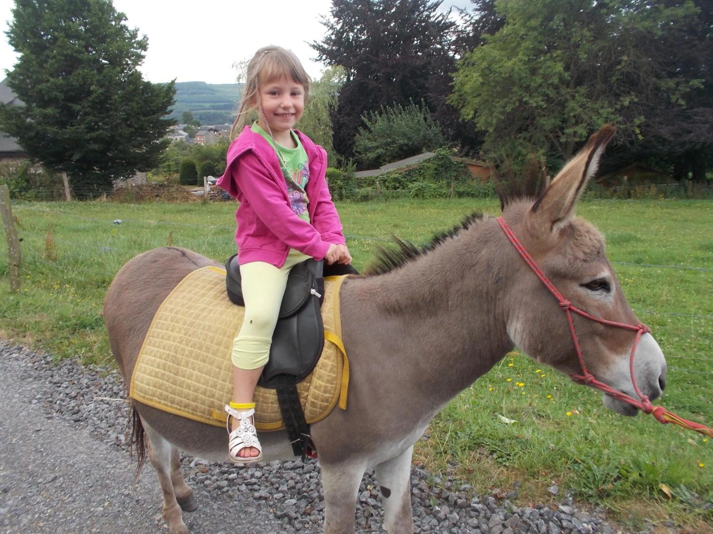 Horse-riding in Le Fagotin - Youth hostel