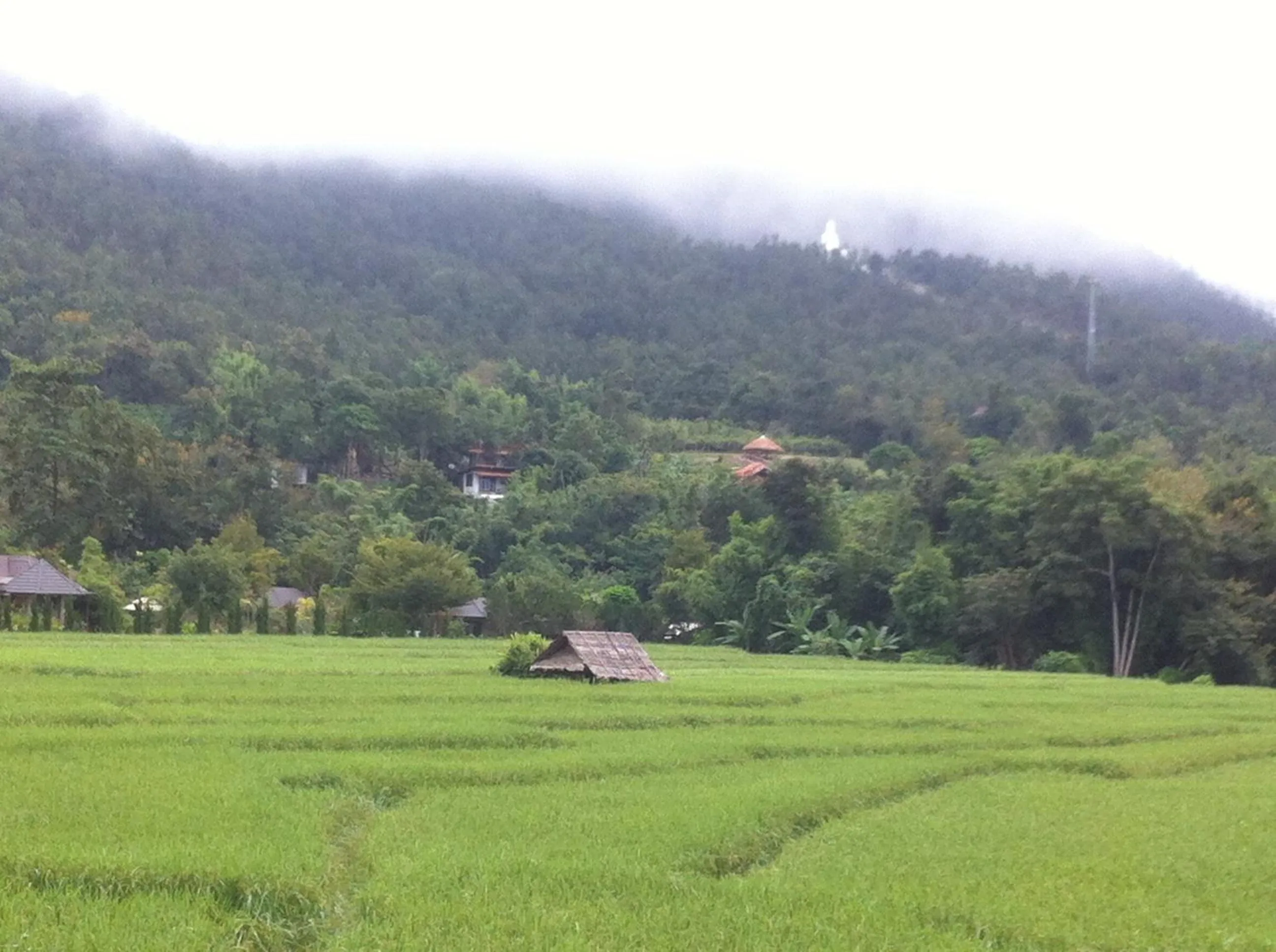 Off site in Chang Pai Hill