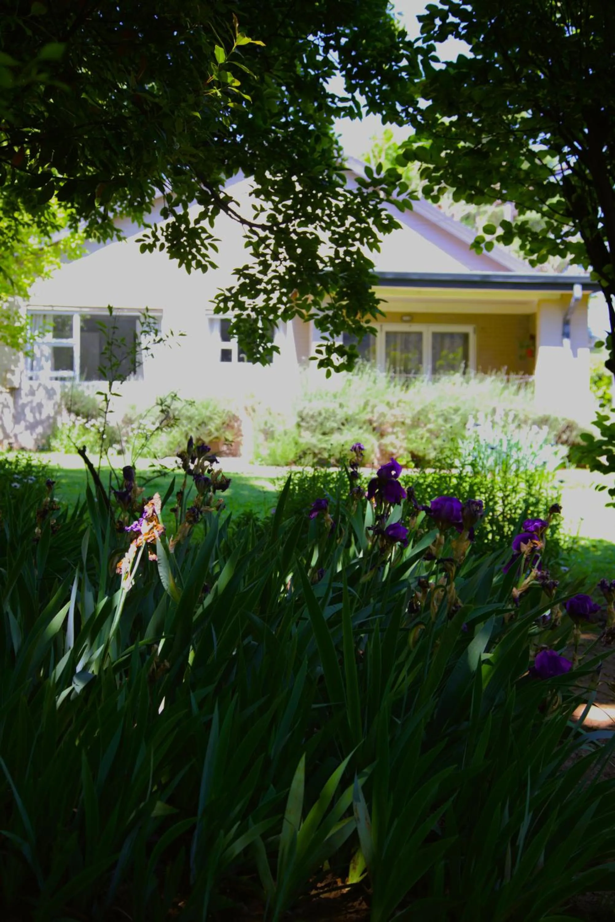 Upper House Guesthouse