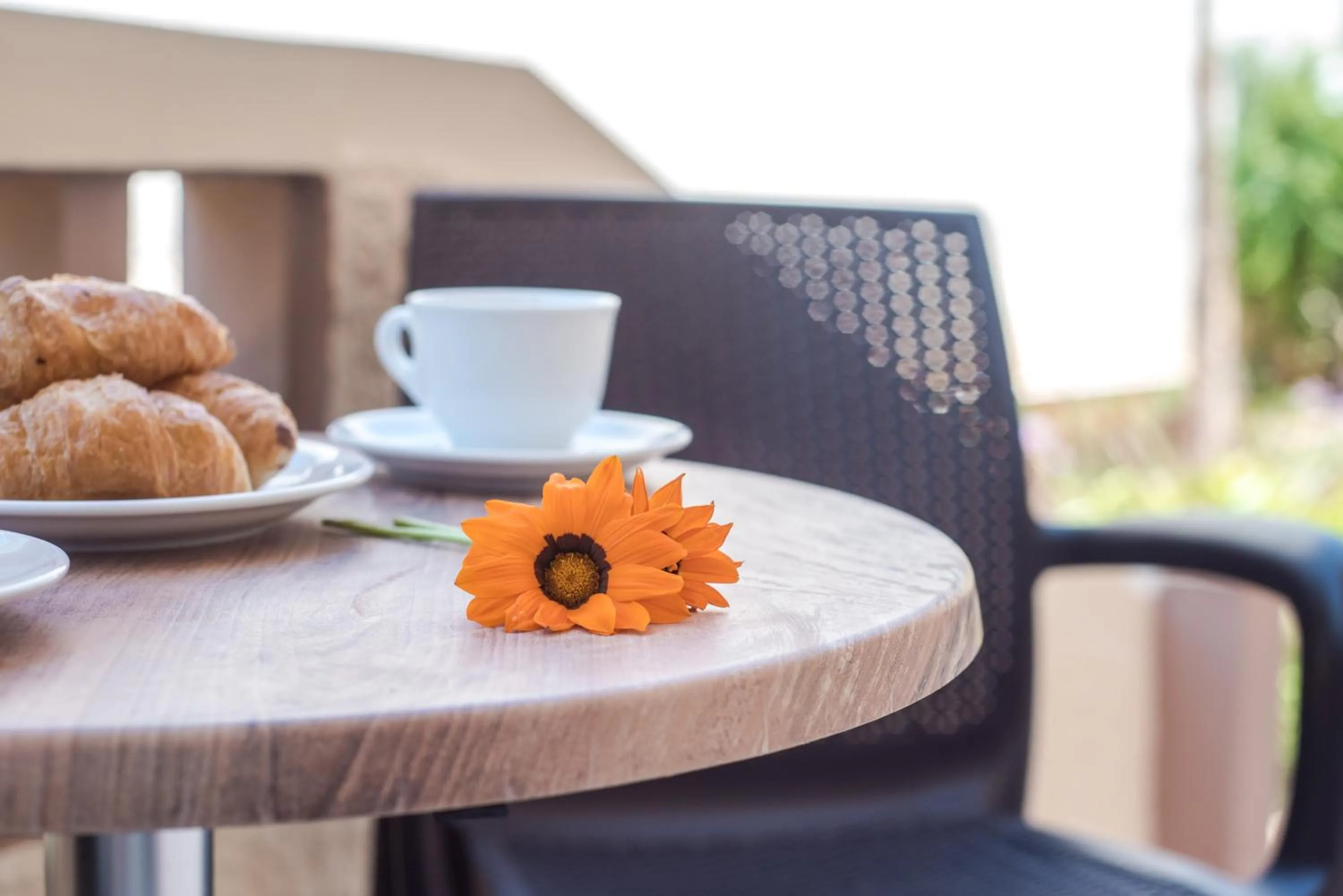 Balcony/Terrace in Le Palme