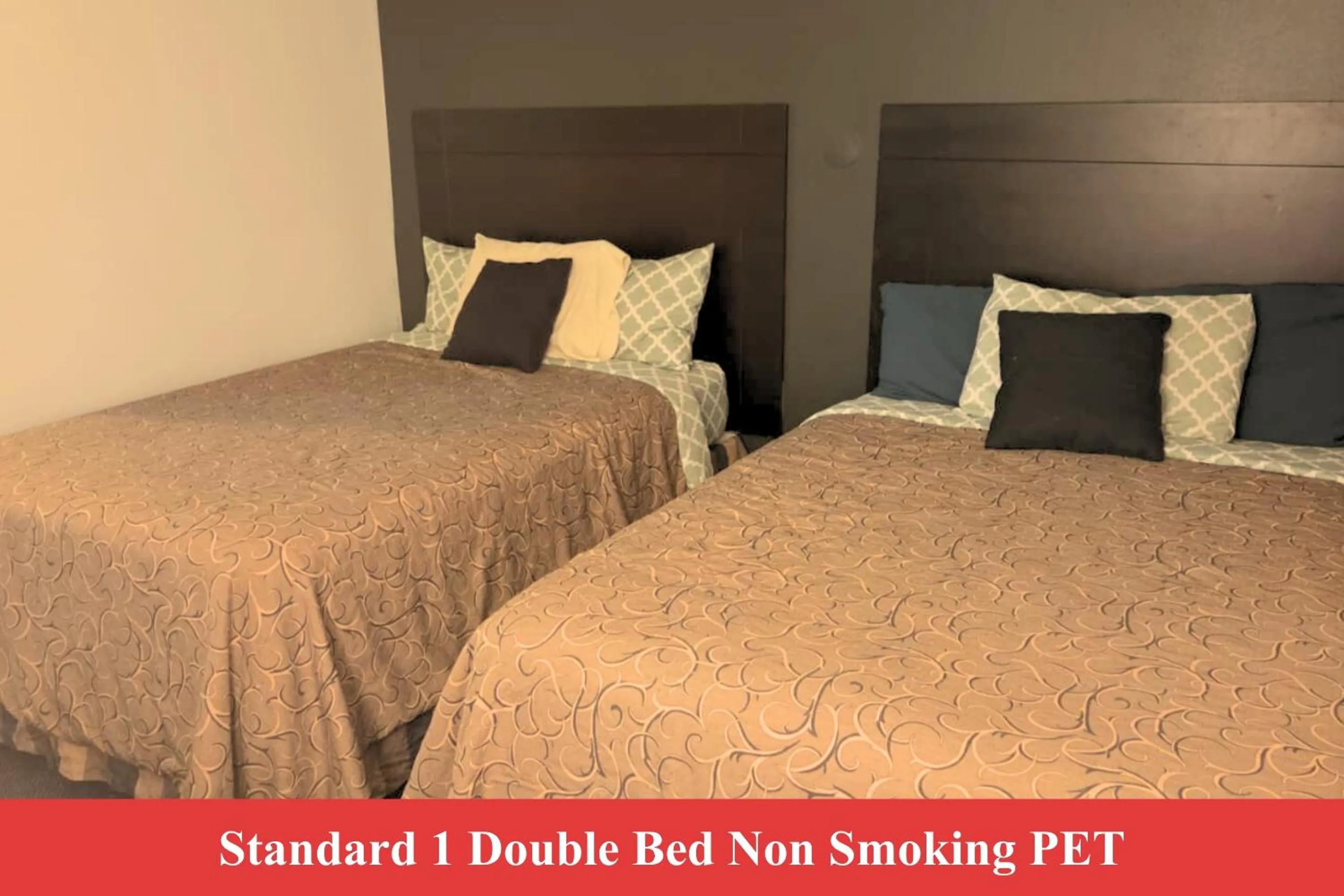 Standard Double Room in Blue Way Inn by Jasper Hutchinson
