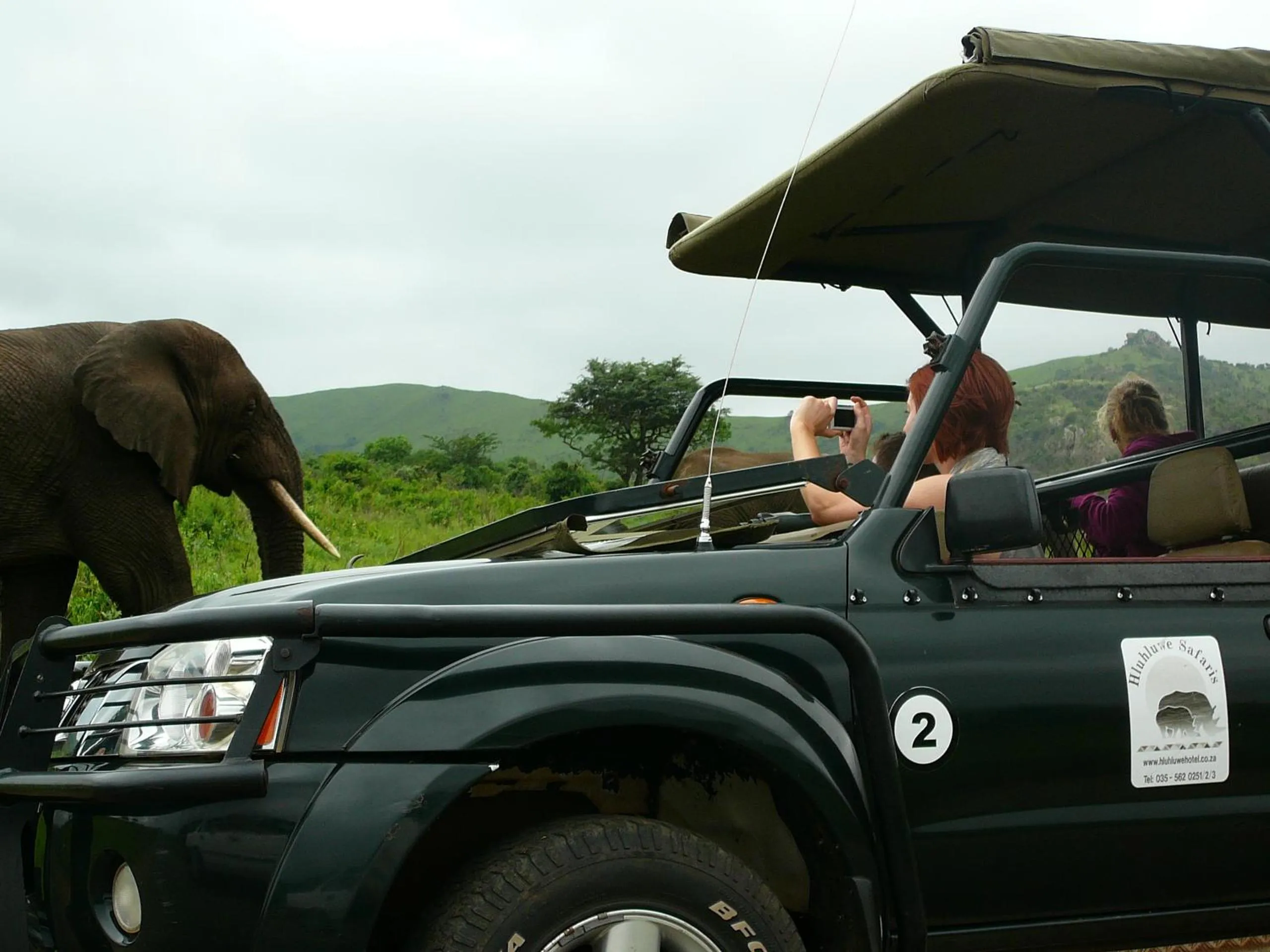 Animals in Leopard Walk Lodge