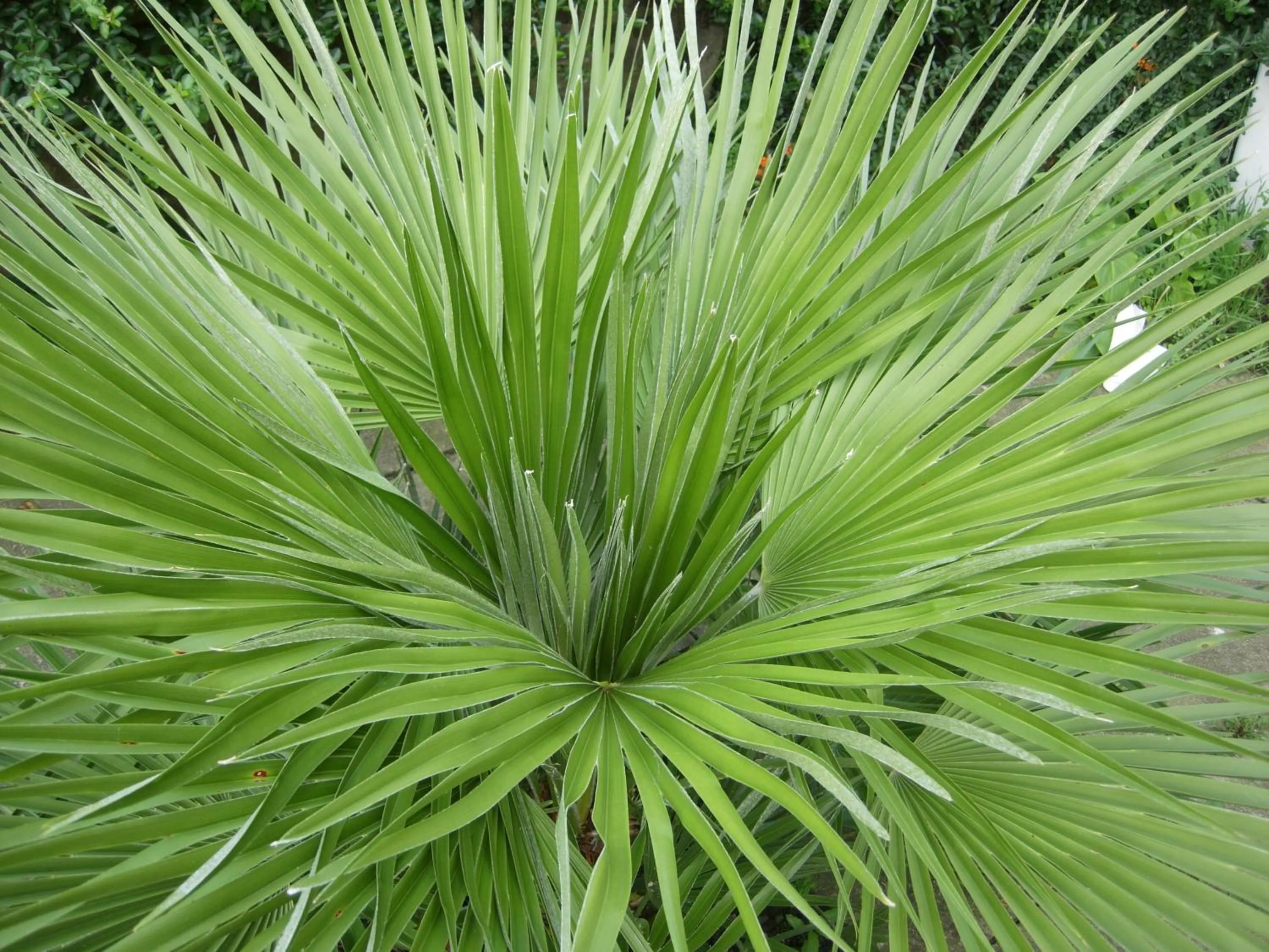 Other in Longfield Guest House