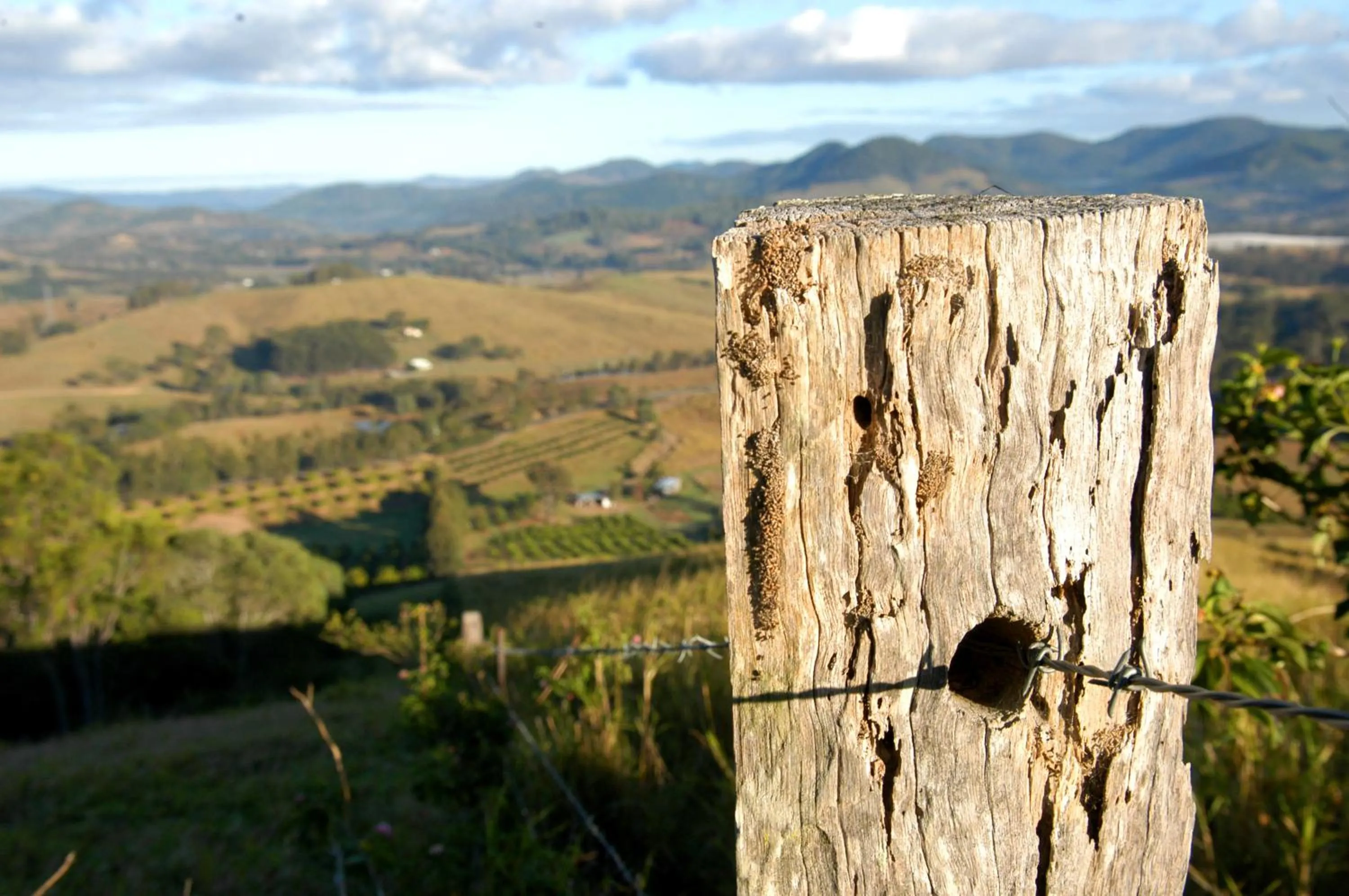 Amamoor Homestead and Country Cottages