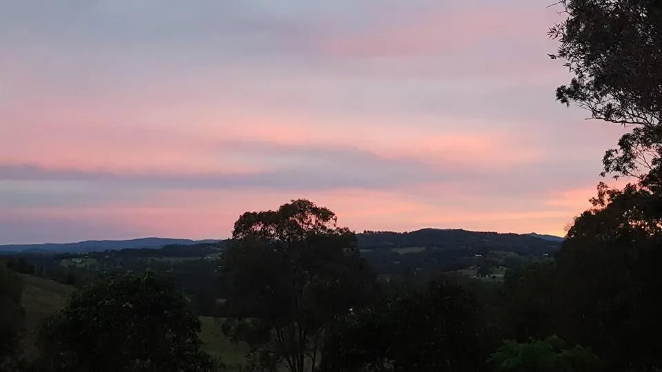 Natural landscape in Amamoor Homestead and Country Cottages