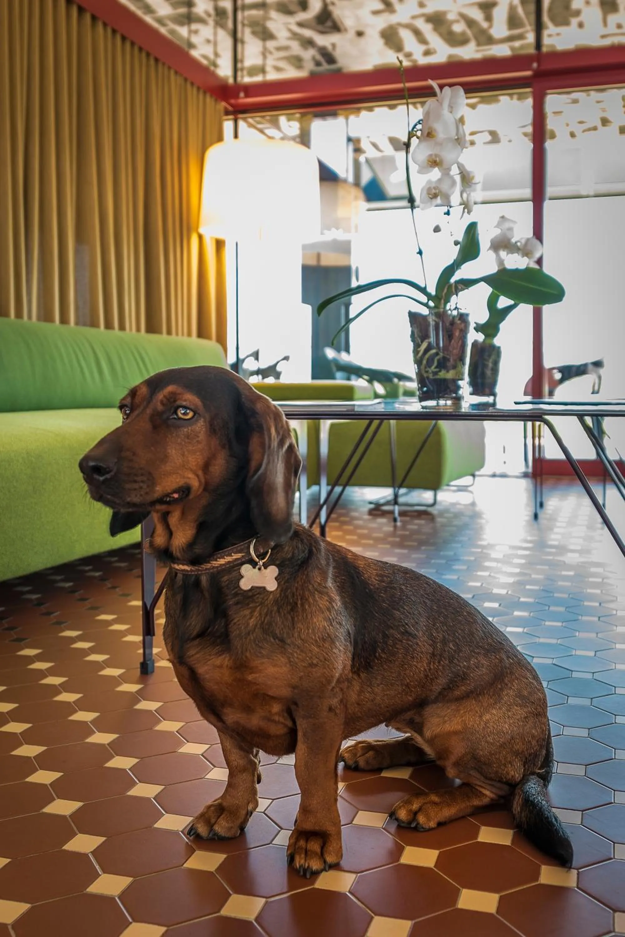 Animals in Villaverde Hotel Spa&Golf Udine