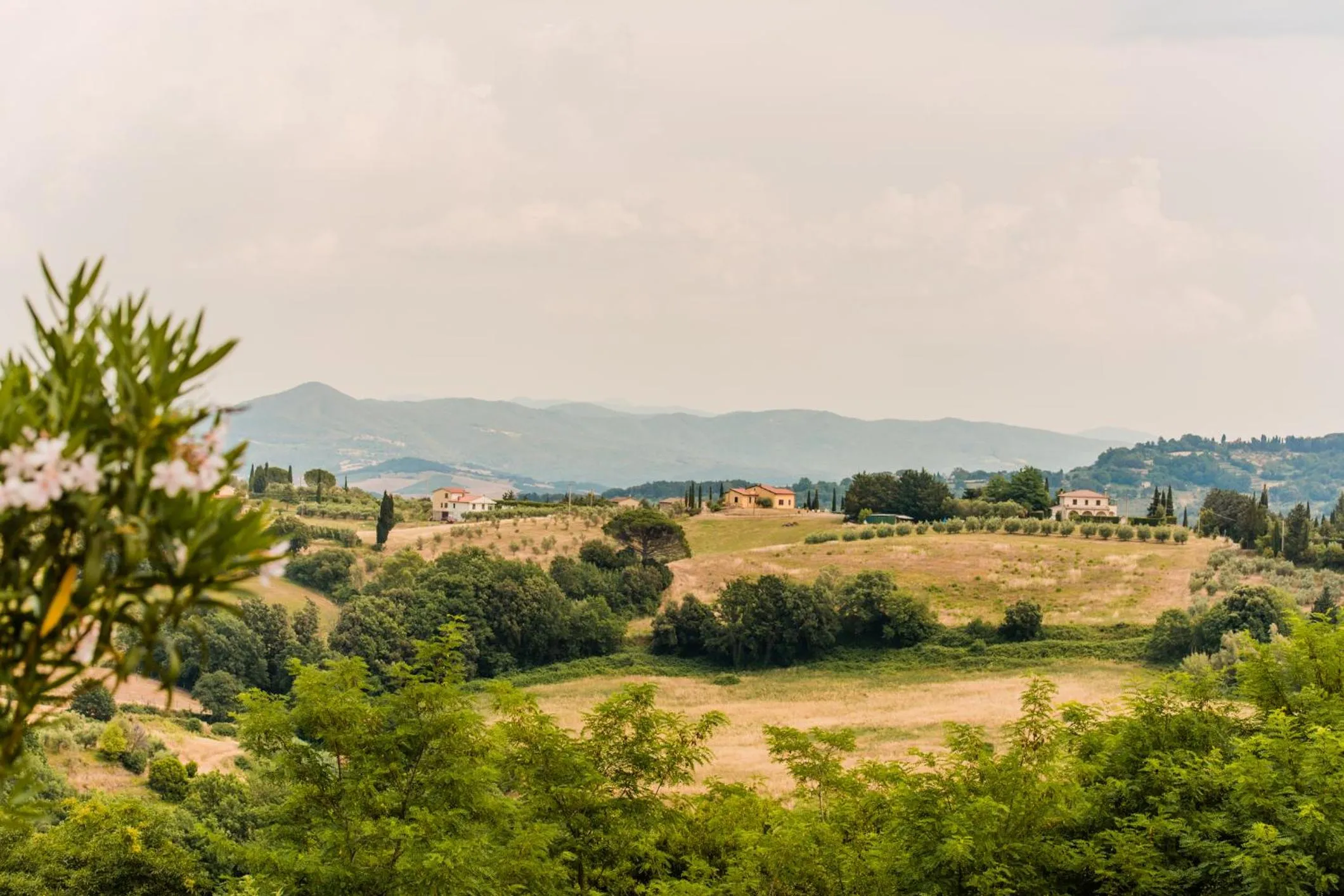 Natural landscape in Borgo Felciaione