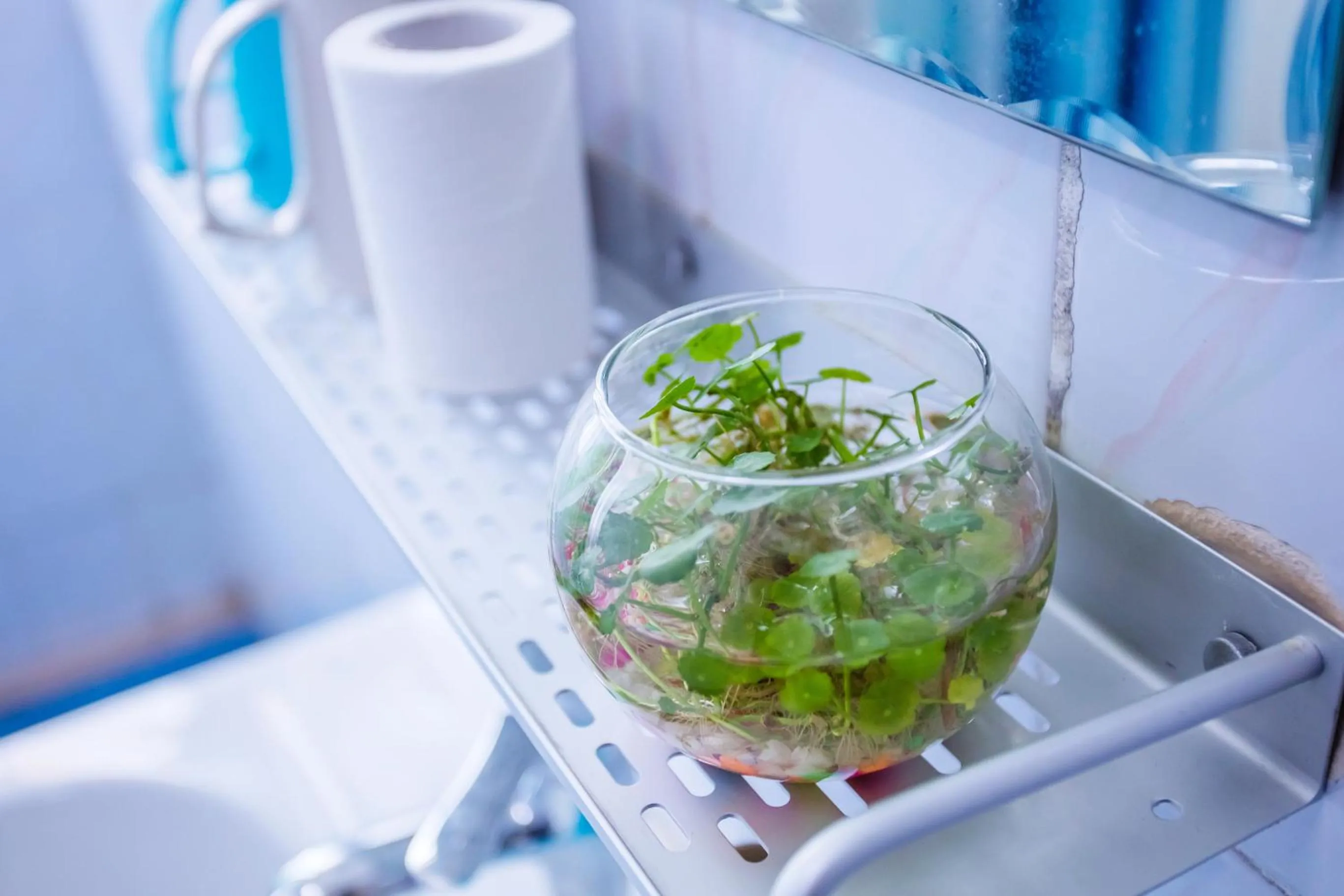 Decorative detail in Murphy Youth Hostel Guilin桂林北站莫非青年旅舍