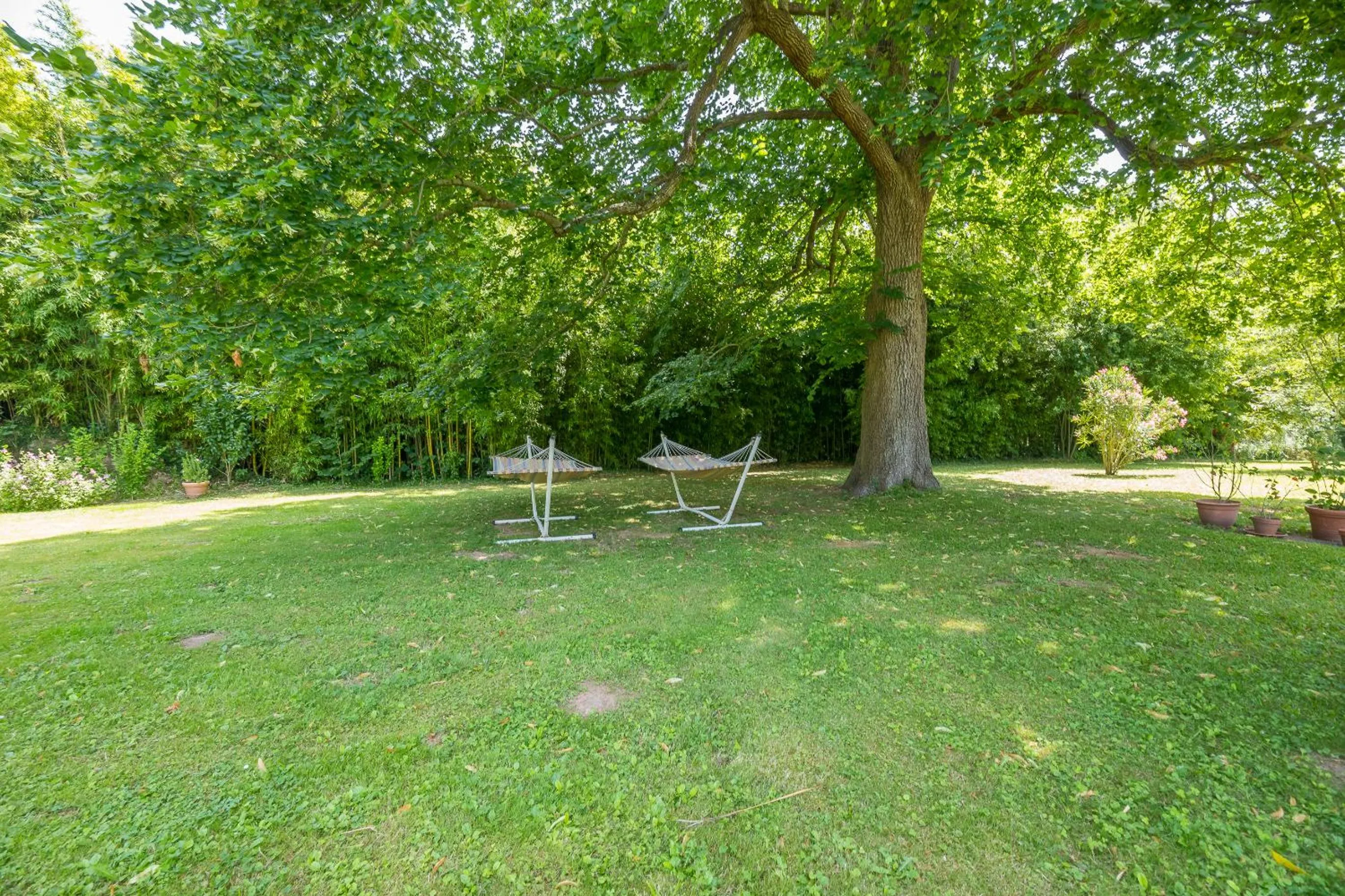 Garden in Appart'Hôtel Bellevue