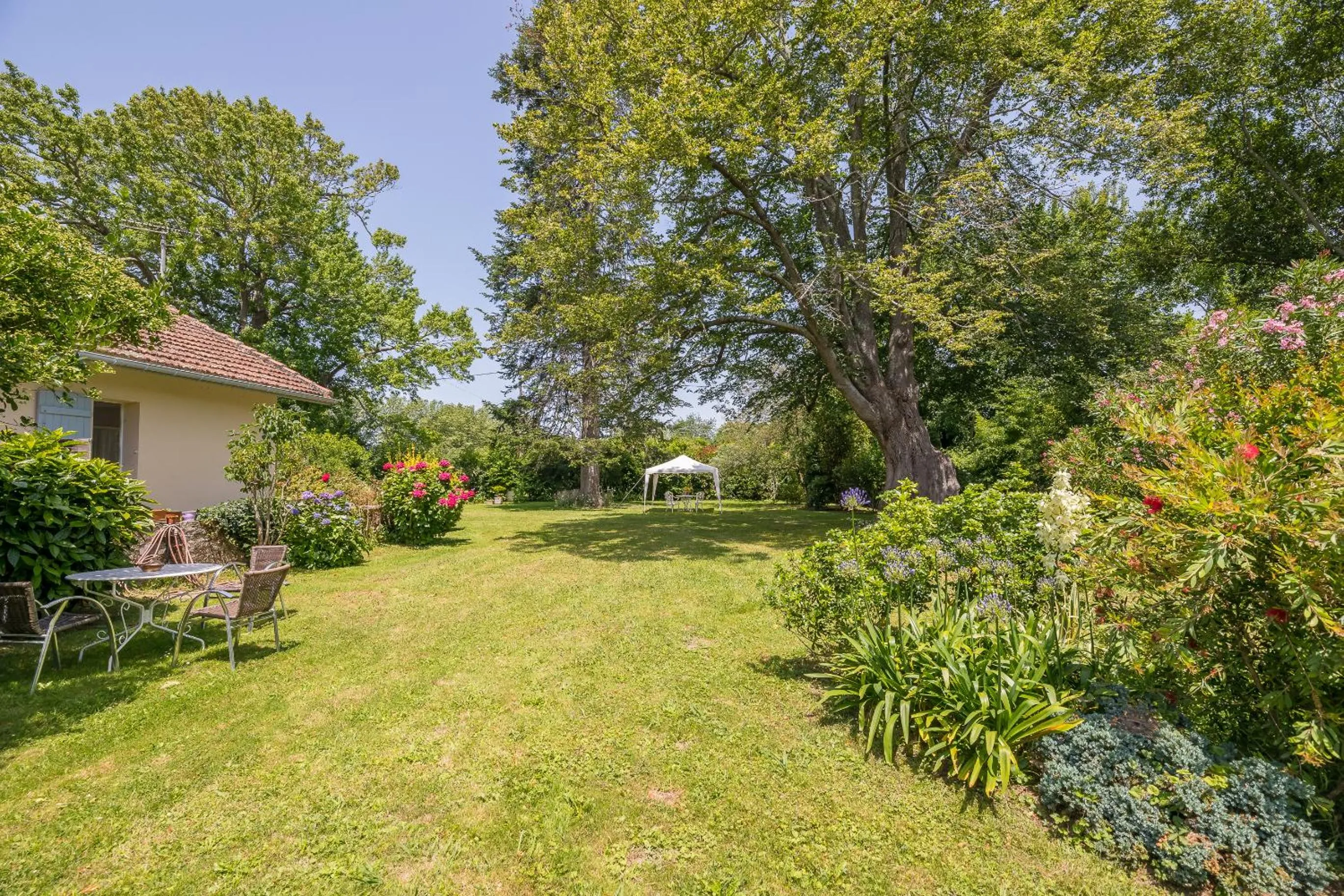 Garden in Appart'Hôtel Bellevue