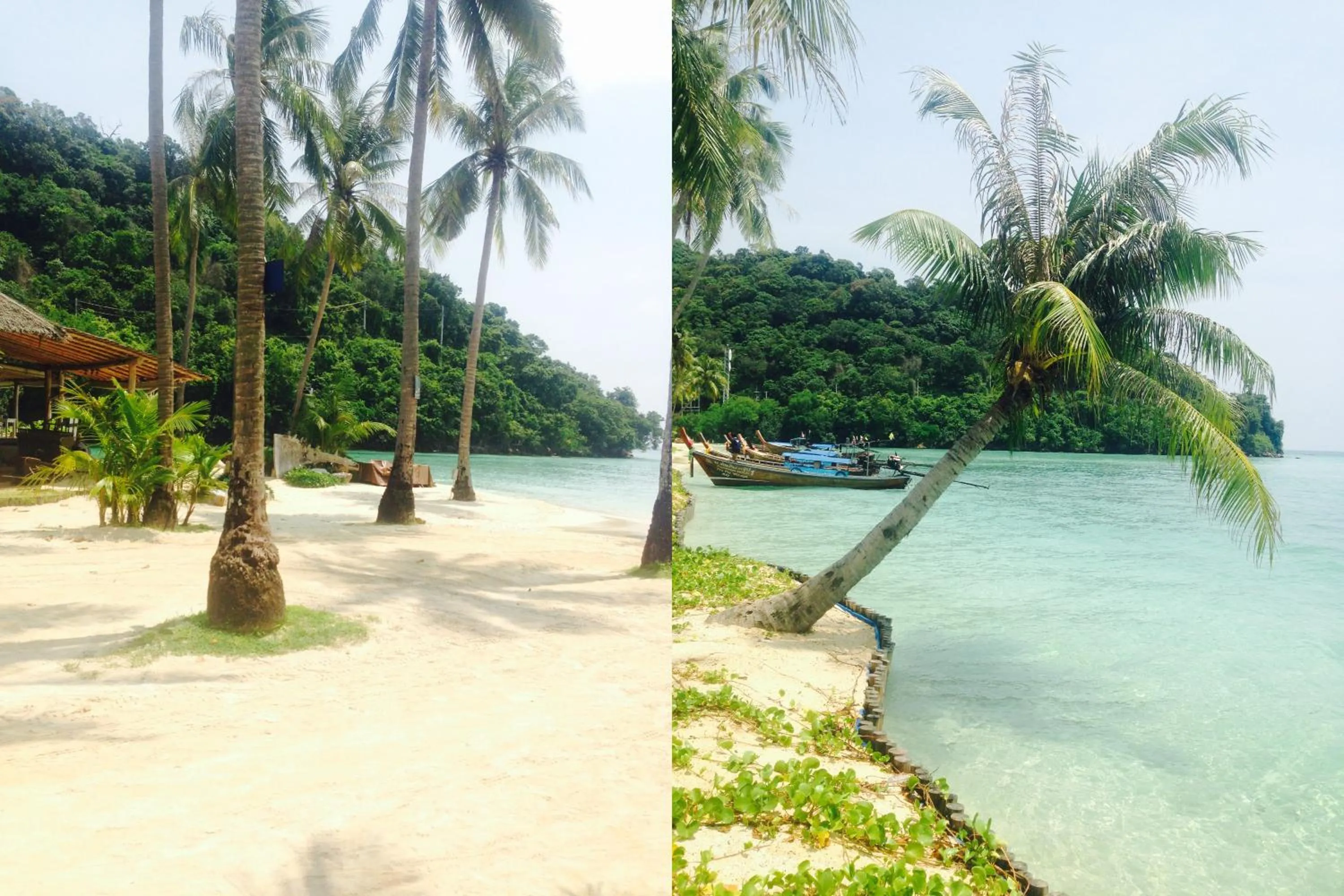 Beach in The Hip Resort @ Phi Phi