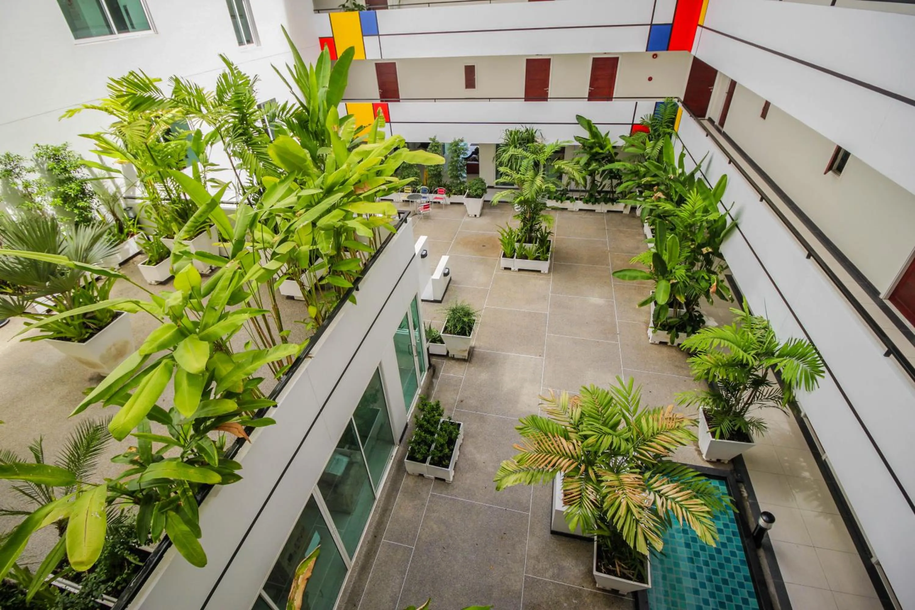 Garden in Art On The Hill by Pattaya Sunny Rentals