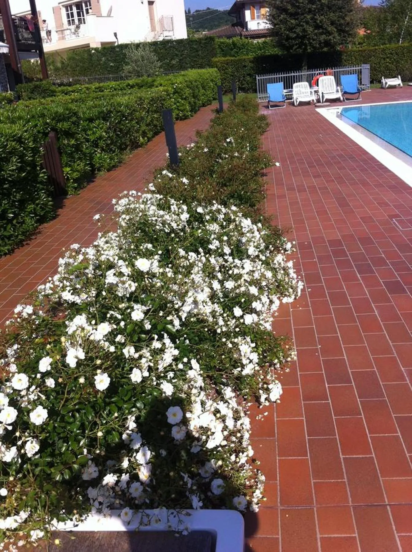 Property building in Appartamento Elena