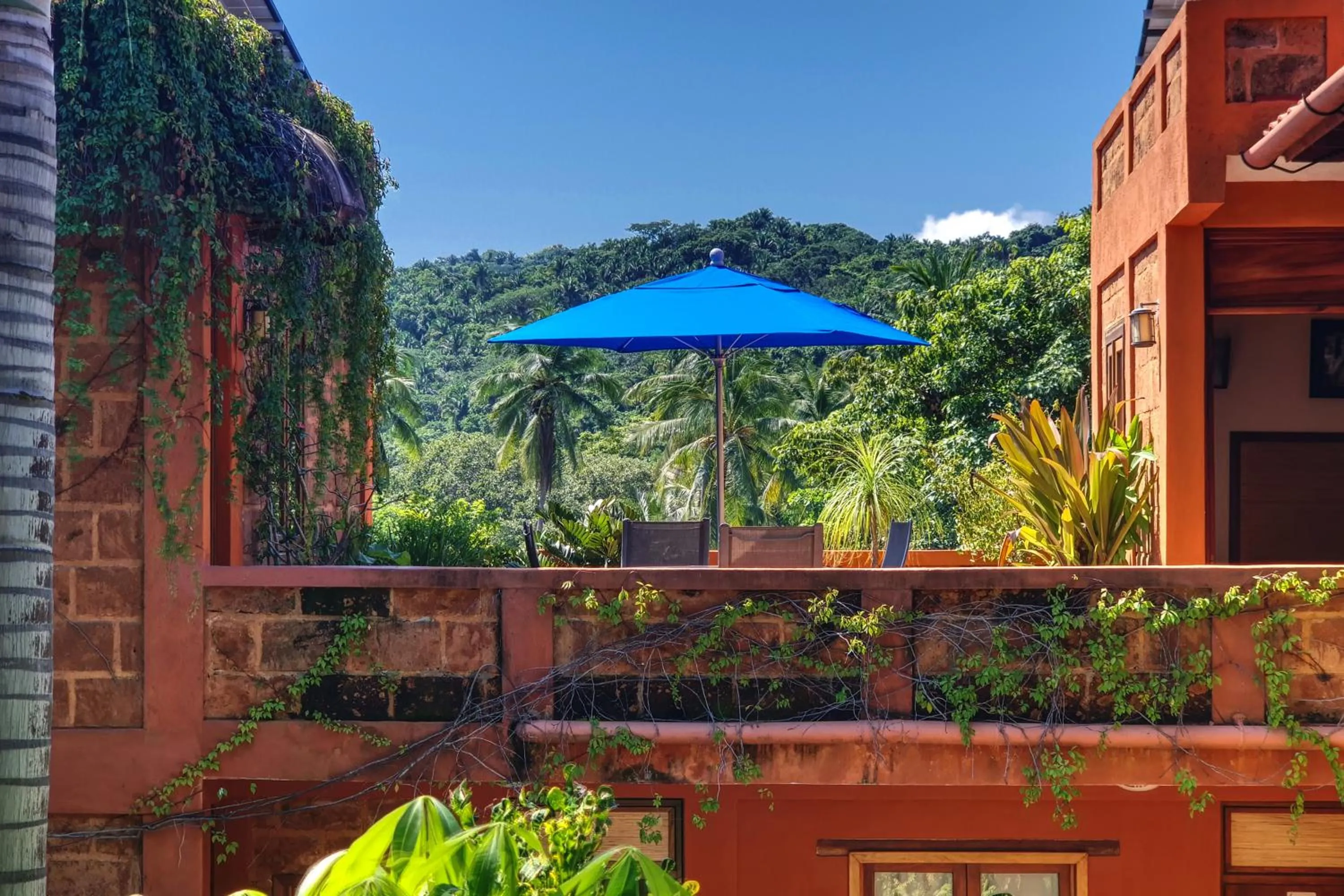 Natural landscape in Hotel Casa San Pancho