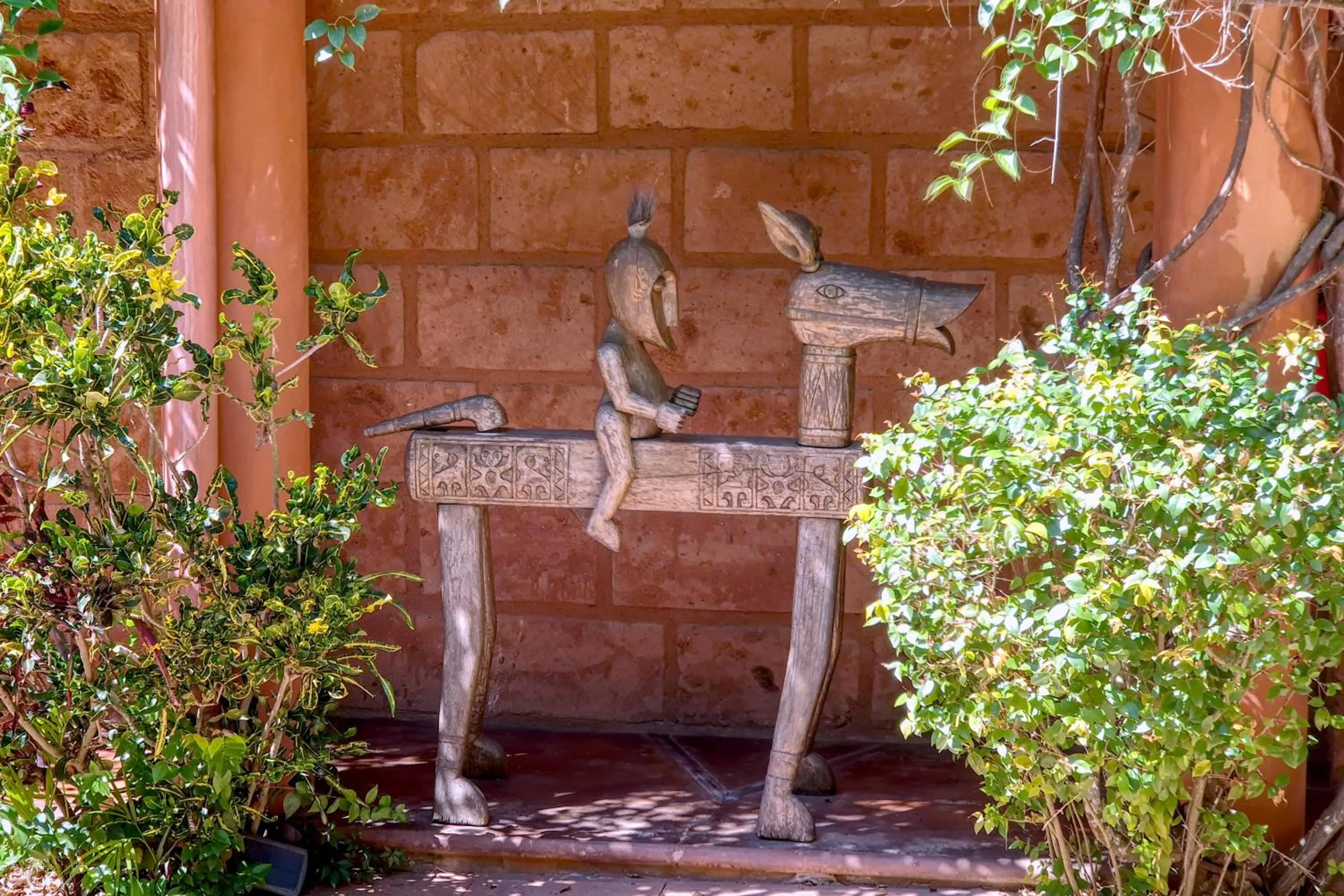 Garden in Hotel Casa San Pancho