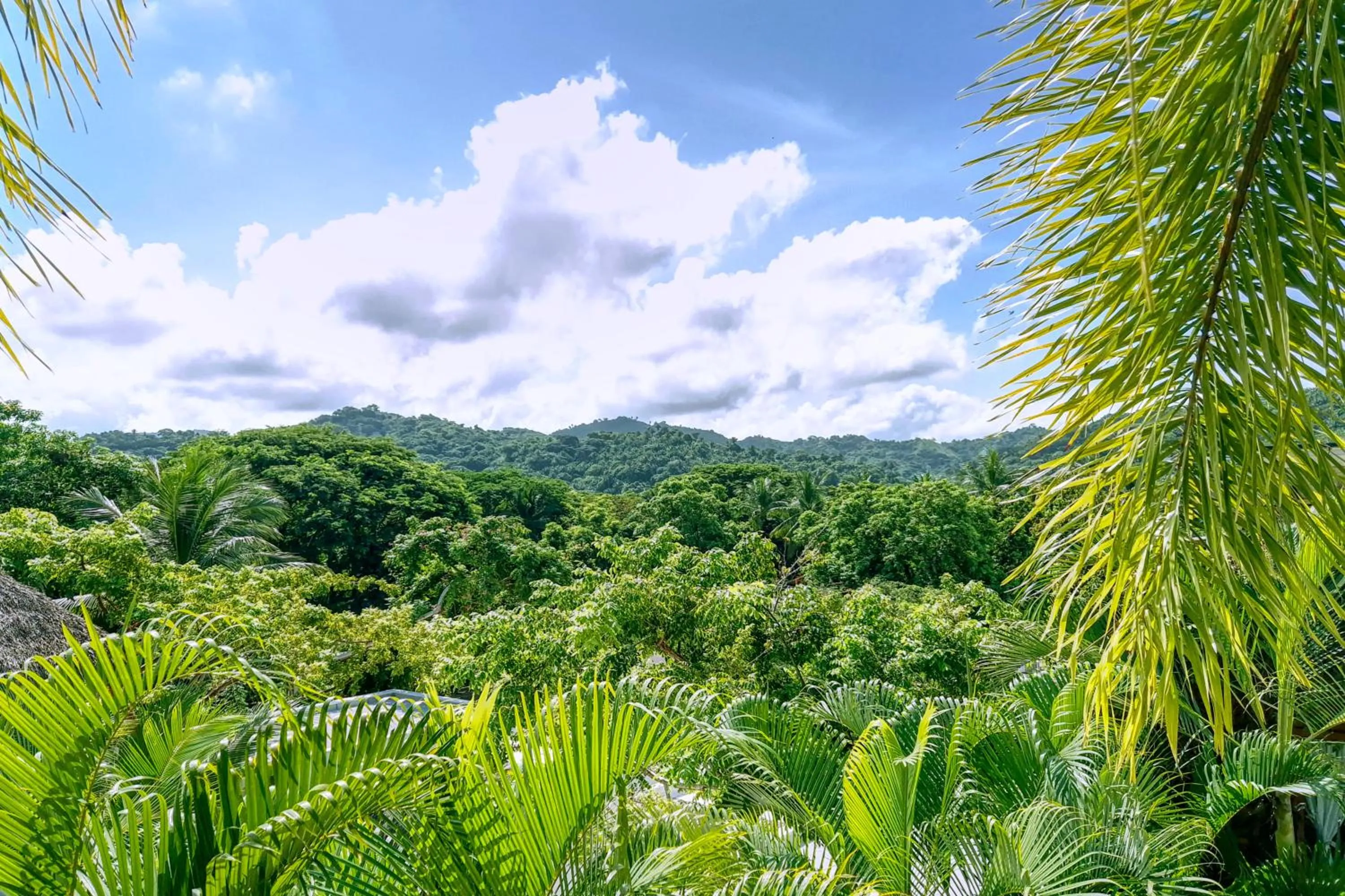 Natural landscape in Hotel Casa San Pancho