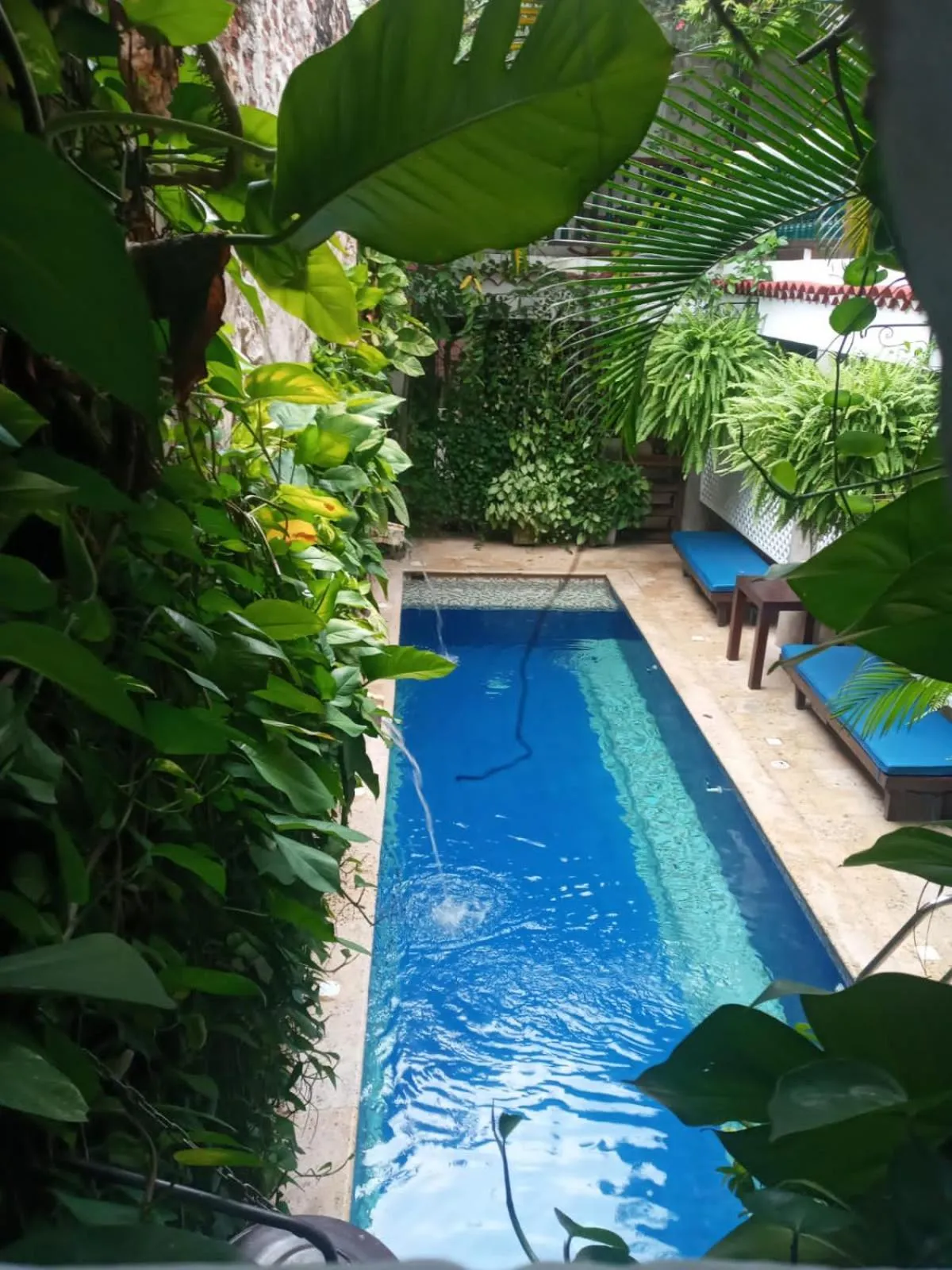 Swimming pool in Casa Pizarro Hotel Boutique