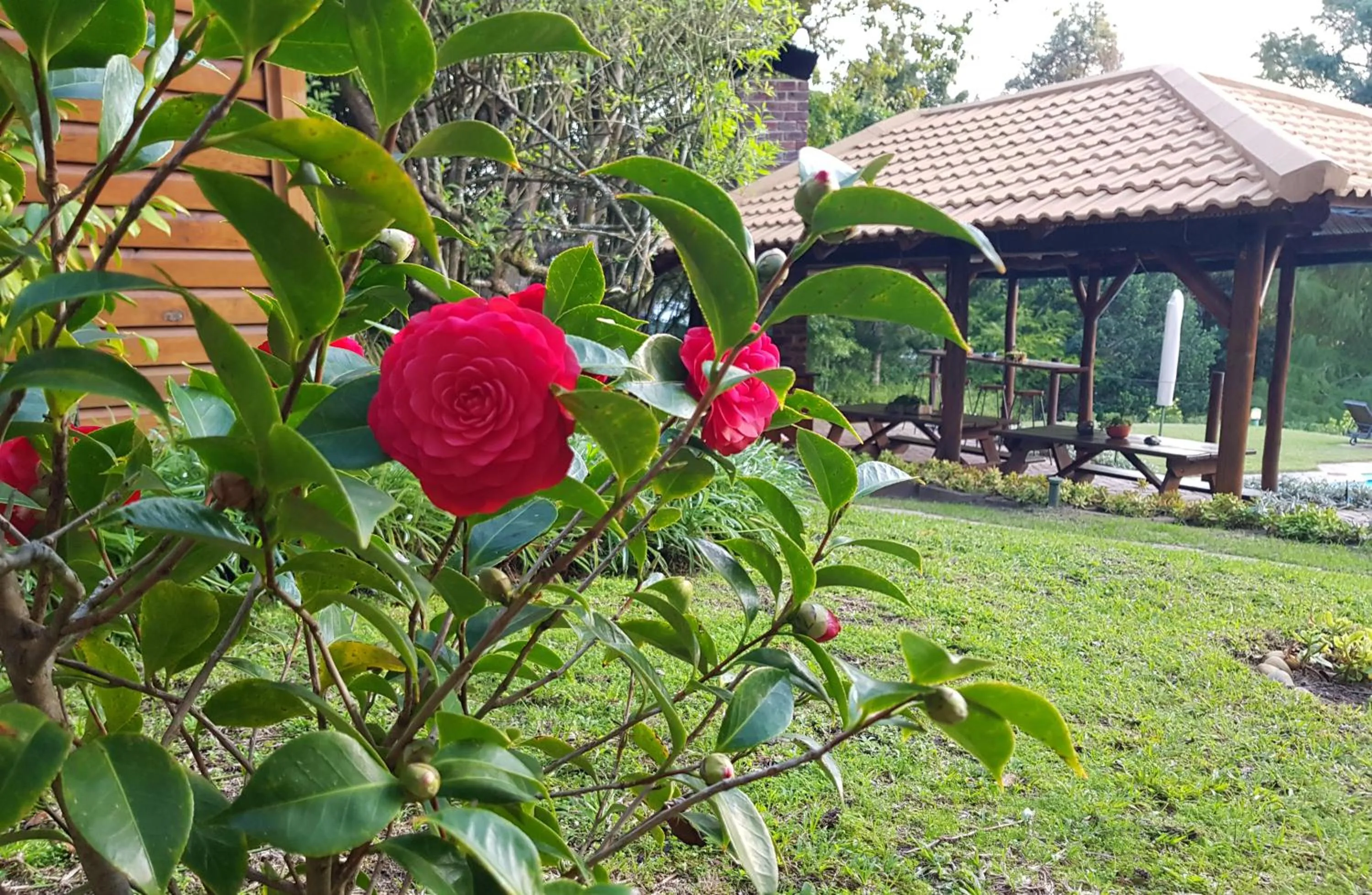 Garden in Pumula Lodge 4 Star Guesthouse Knysna
