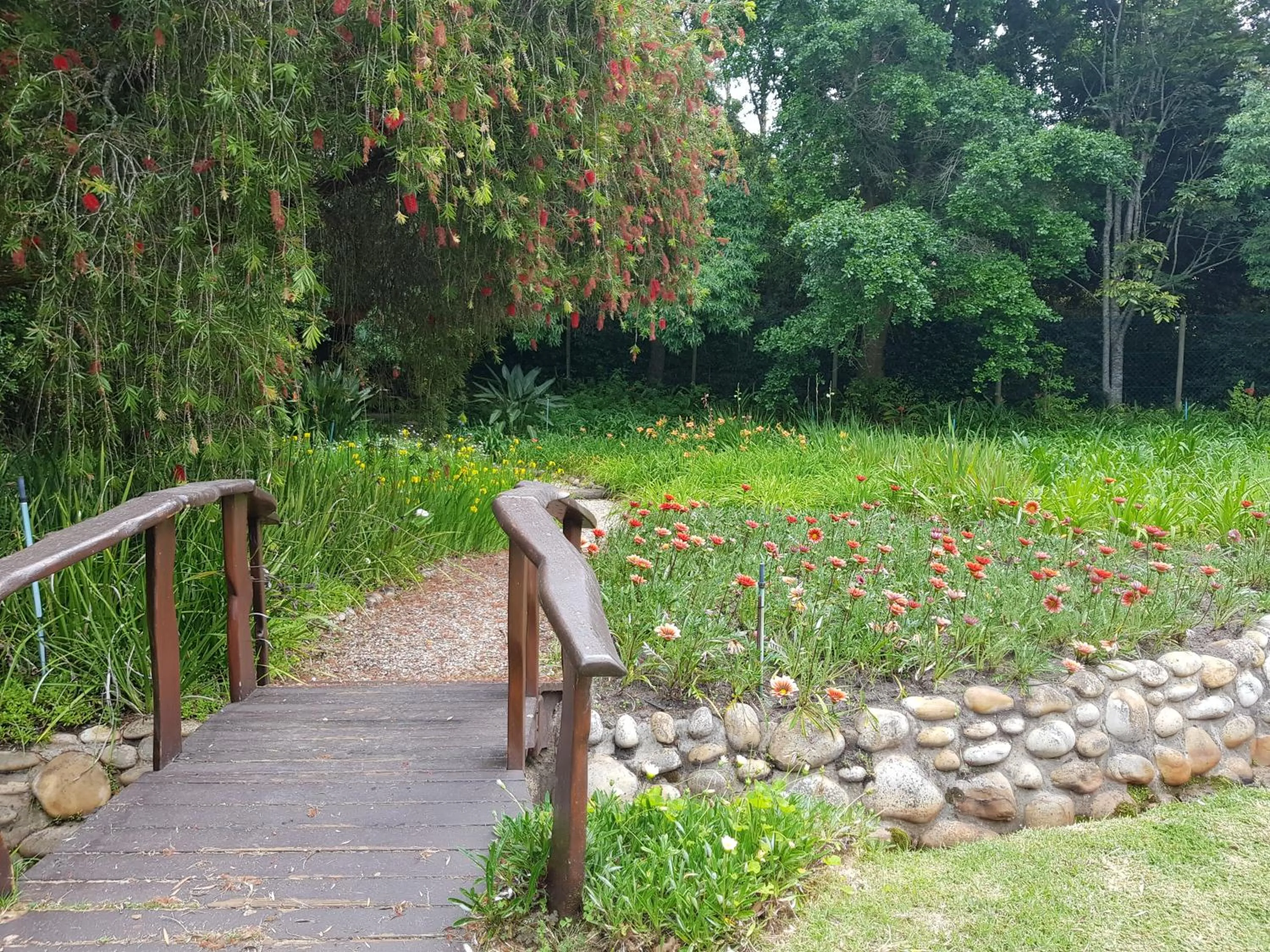 Garden in Pumula Lodge 4 Star Guesthouse Knysna