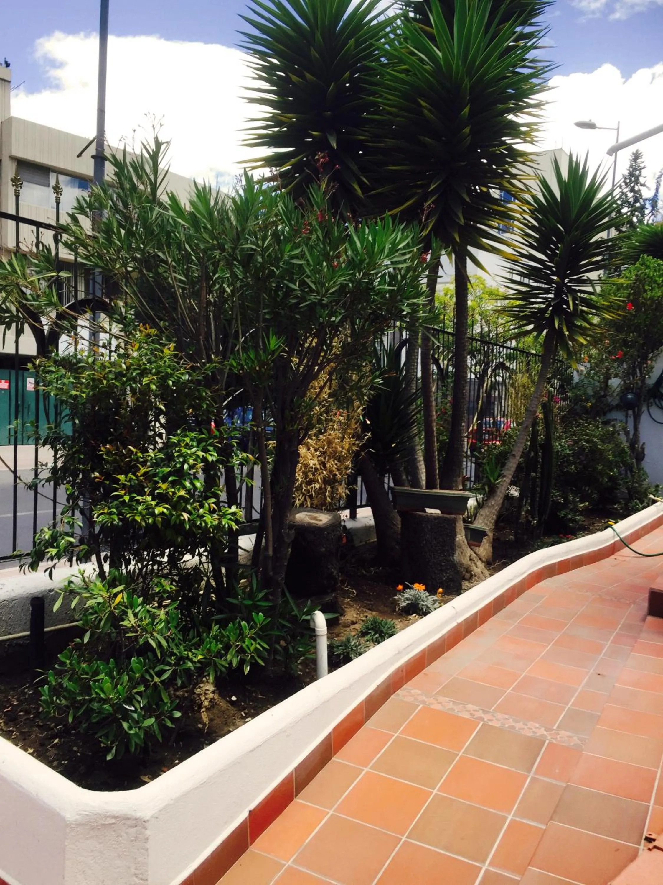 Garden in La Coupole Hotel