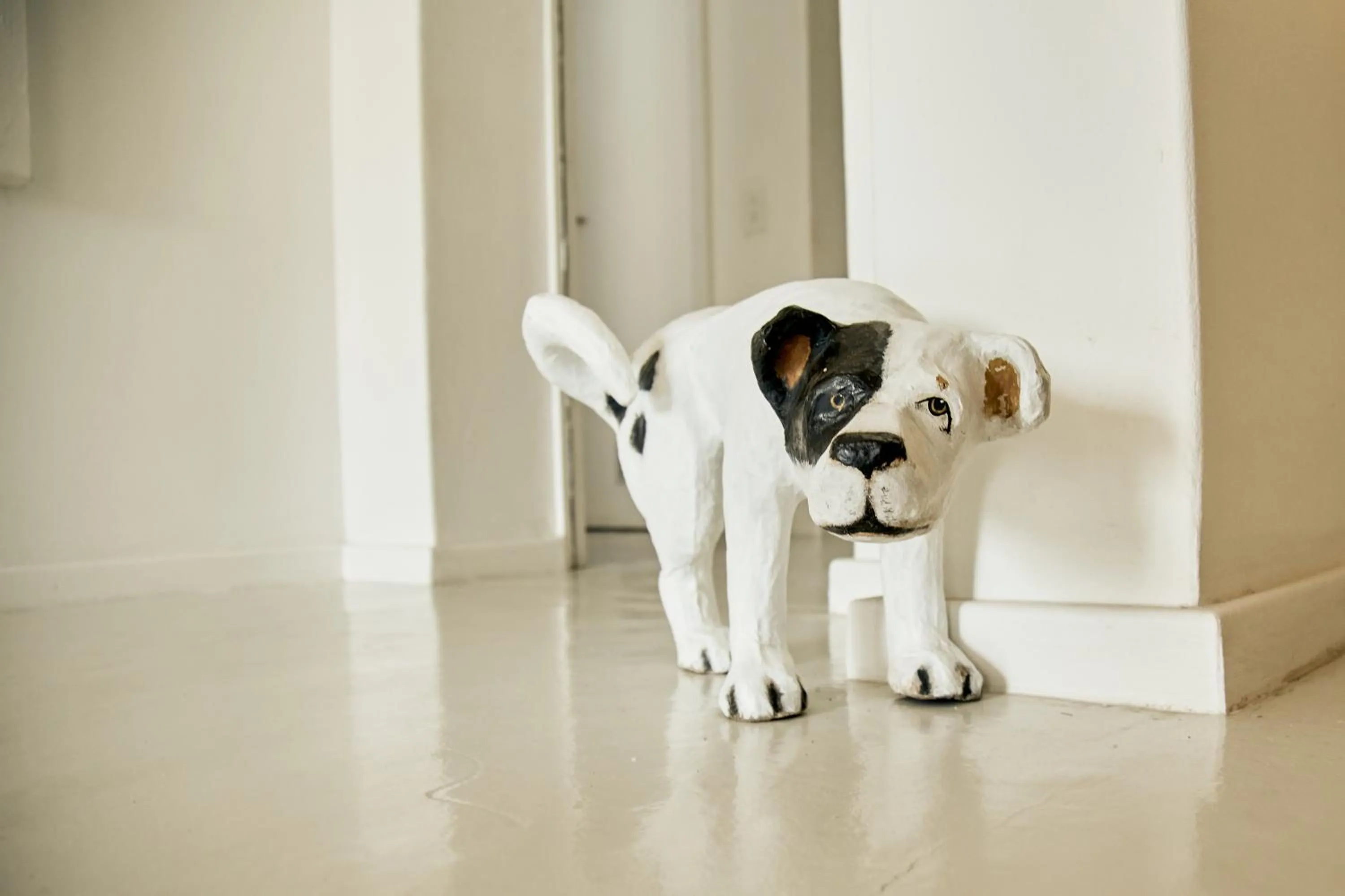 Property building in DysArt Boutique Hotel - Solar Power