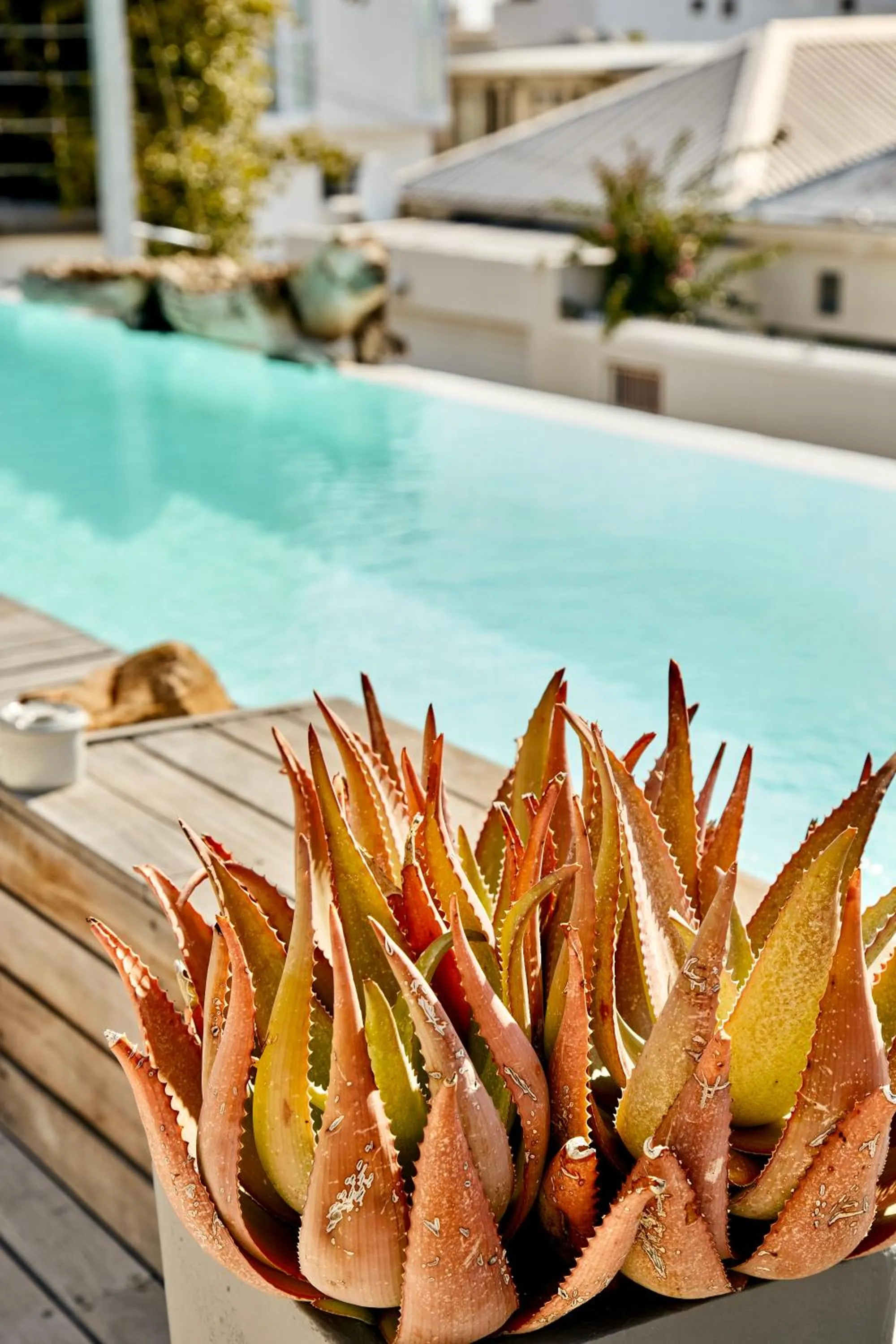 Swimming pool in DysArt Boutique Hotel - Solar Power